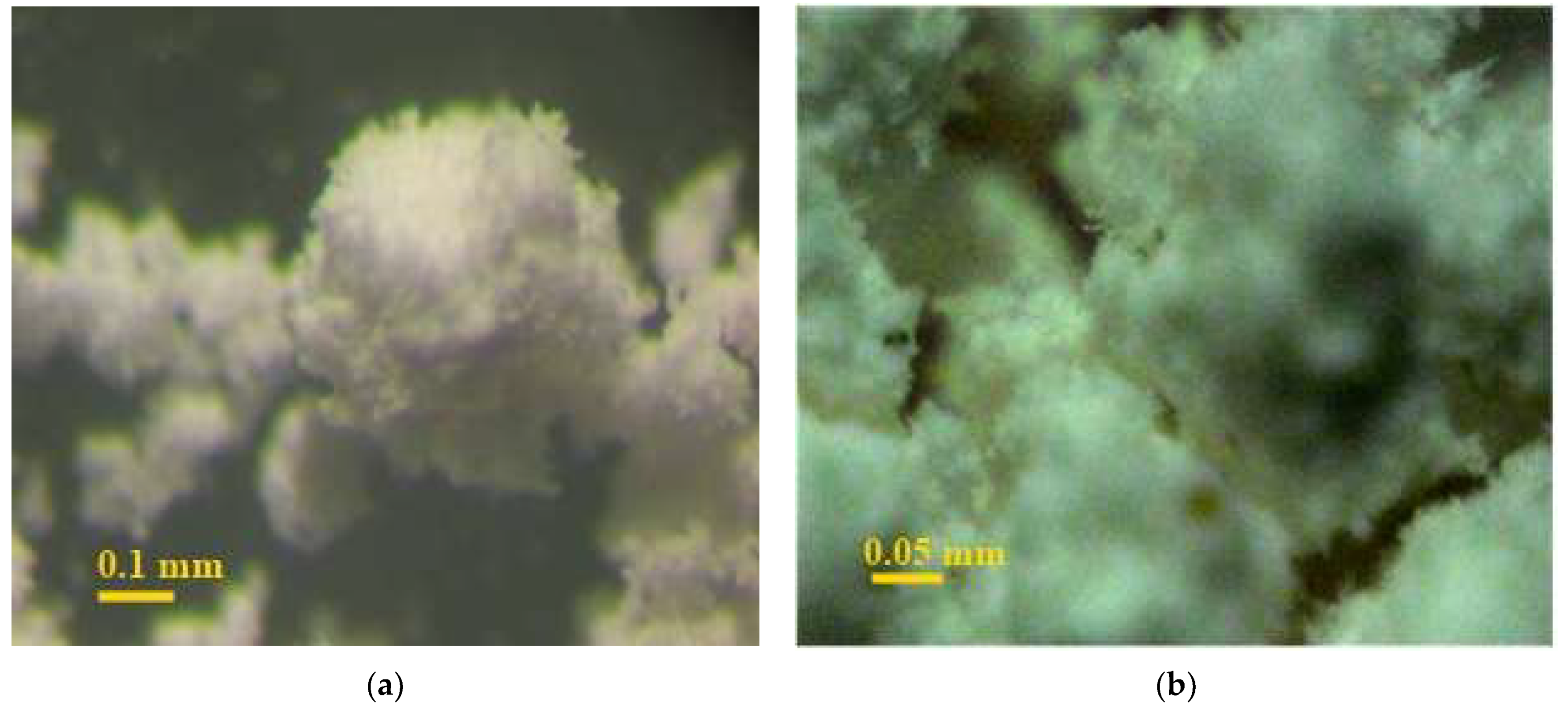 Materials 14 06677 g011