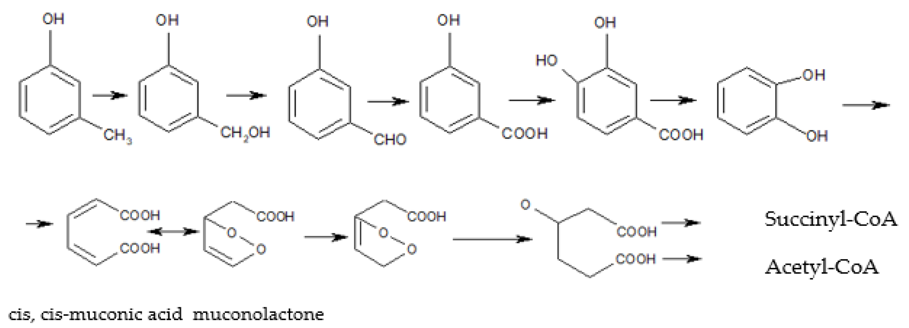 Materials 14 06685 g001 Materials 14 06685 g001