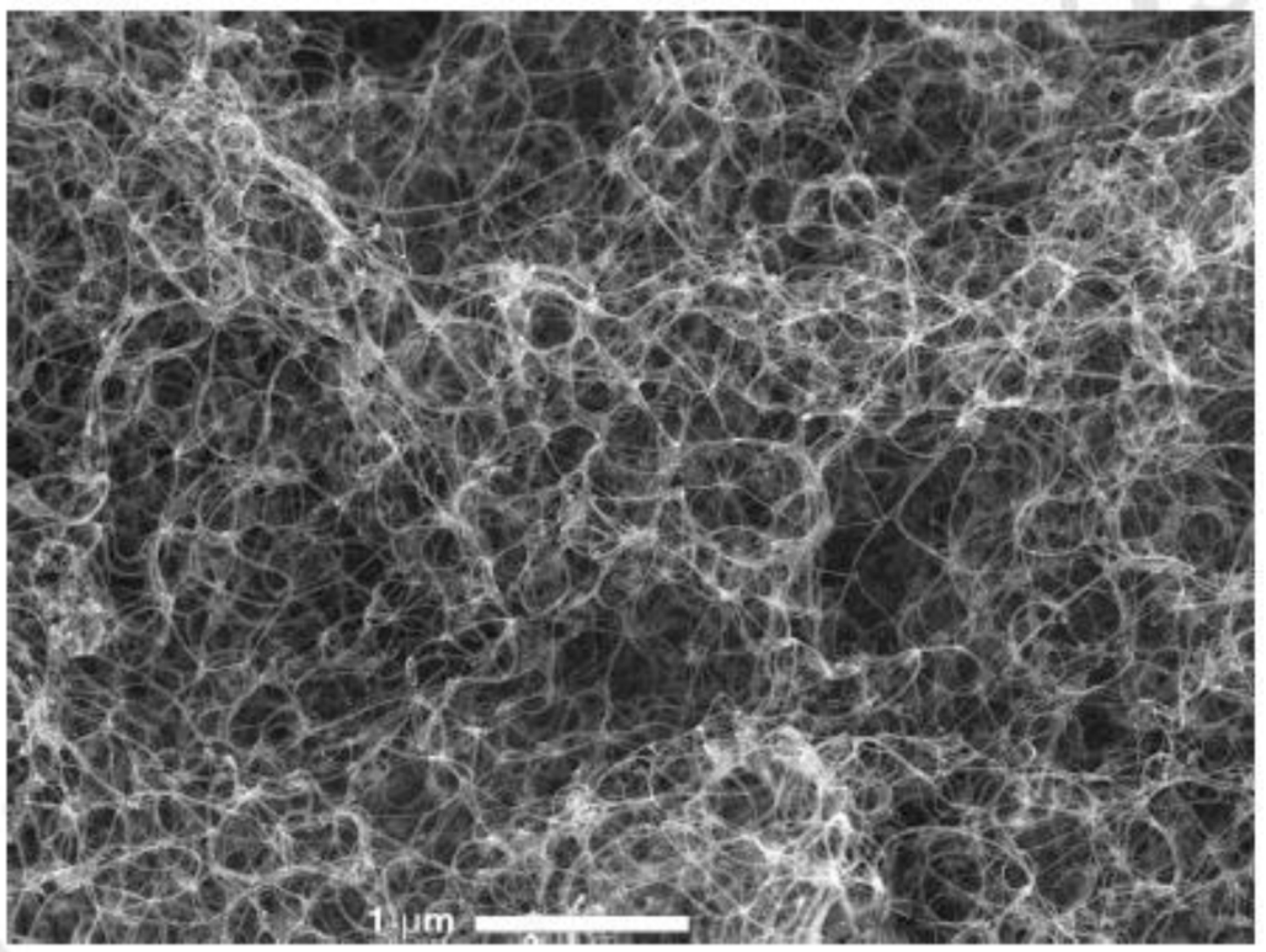 Materials 14 06707 g003