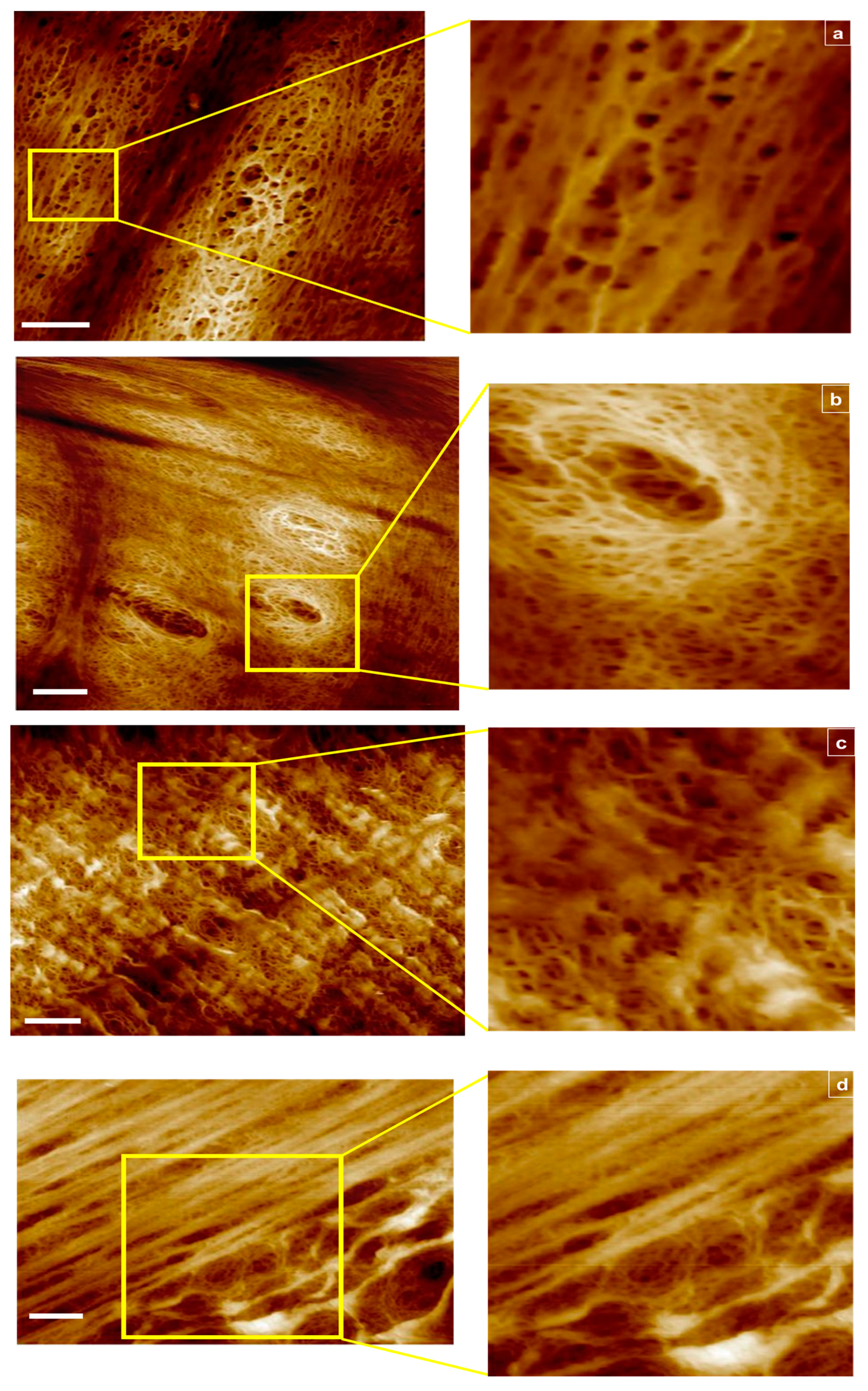 Materials 14 06724 g001