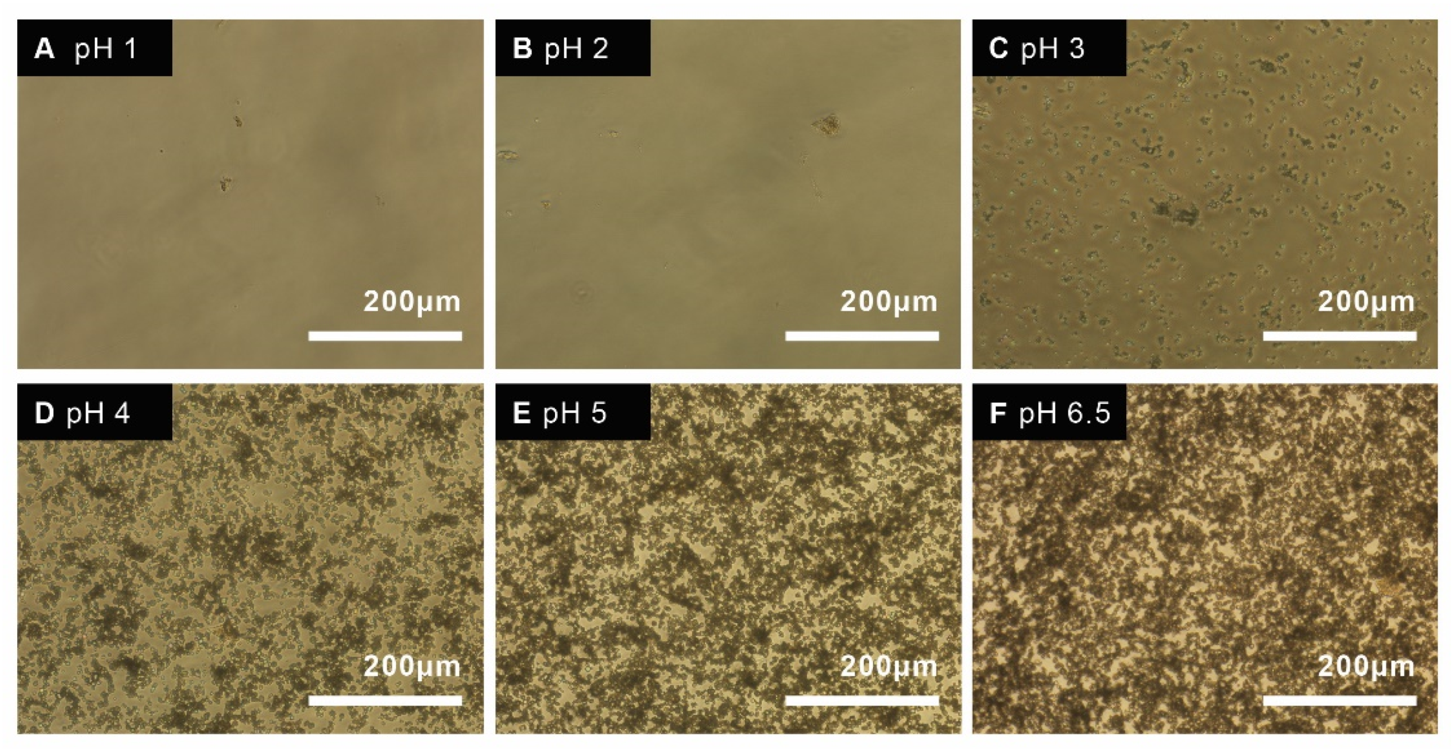 Materials 14 06735 g005