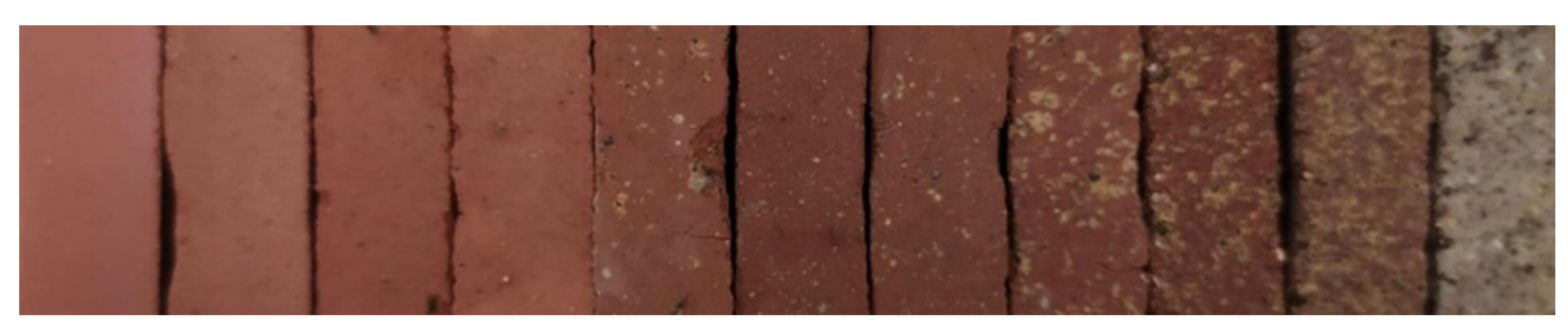 Materials 14 06740 g008 550