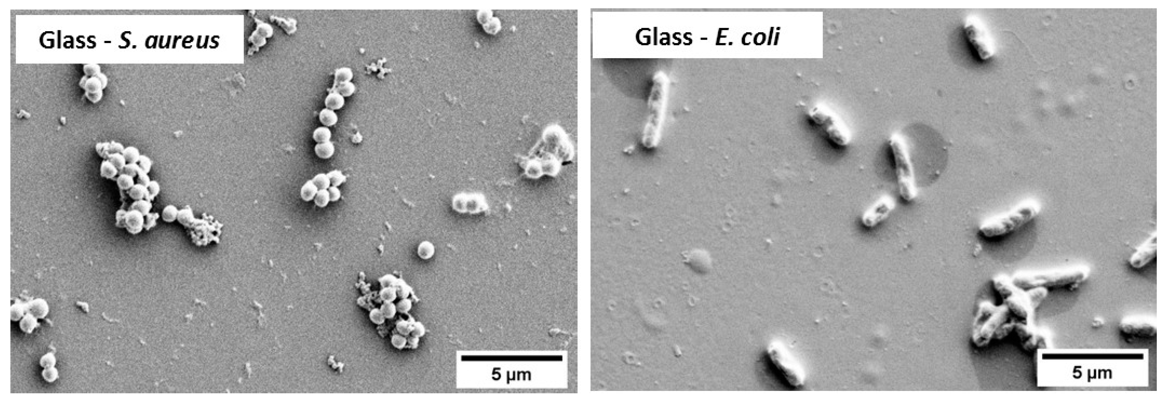 Materials 14 06744 g004