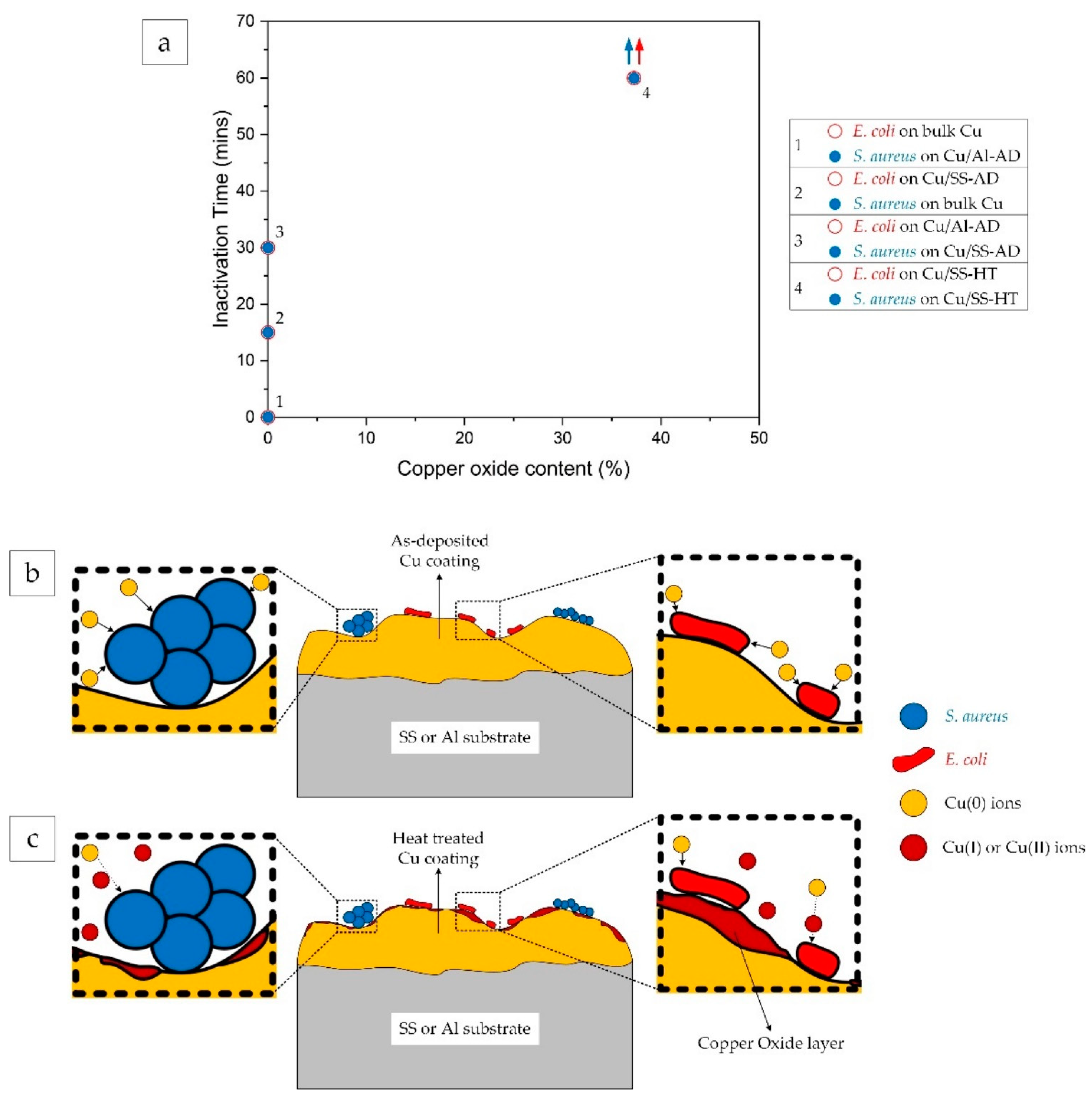 Materials 14 06744 g011