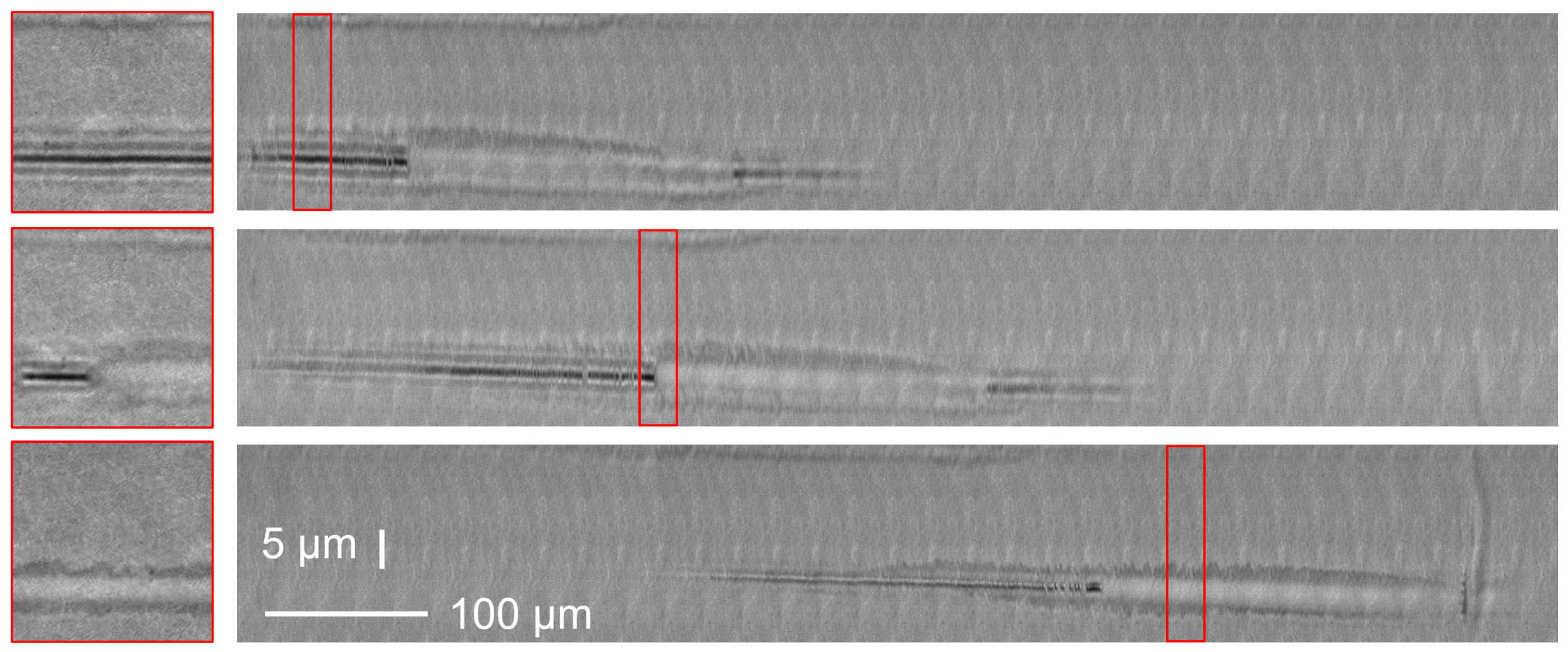 Materials 14 06749 g004 550