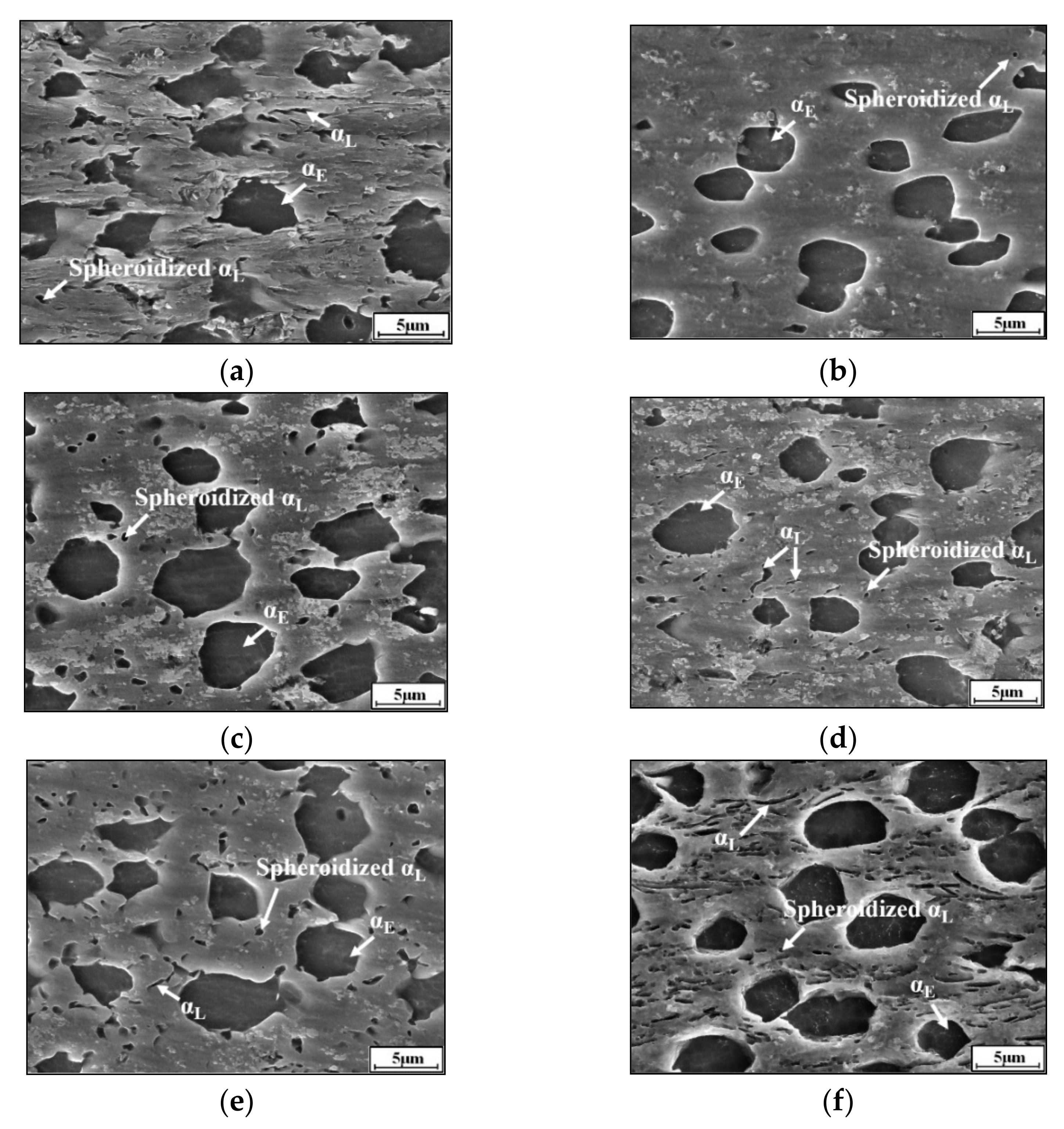 Materials 14 06750 g003