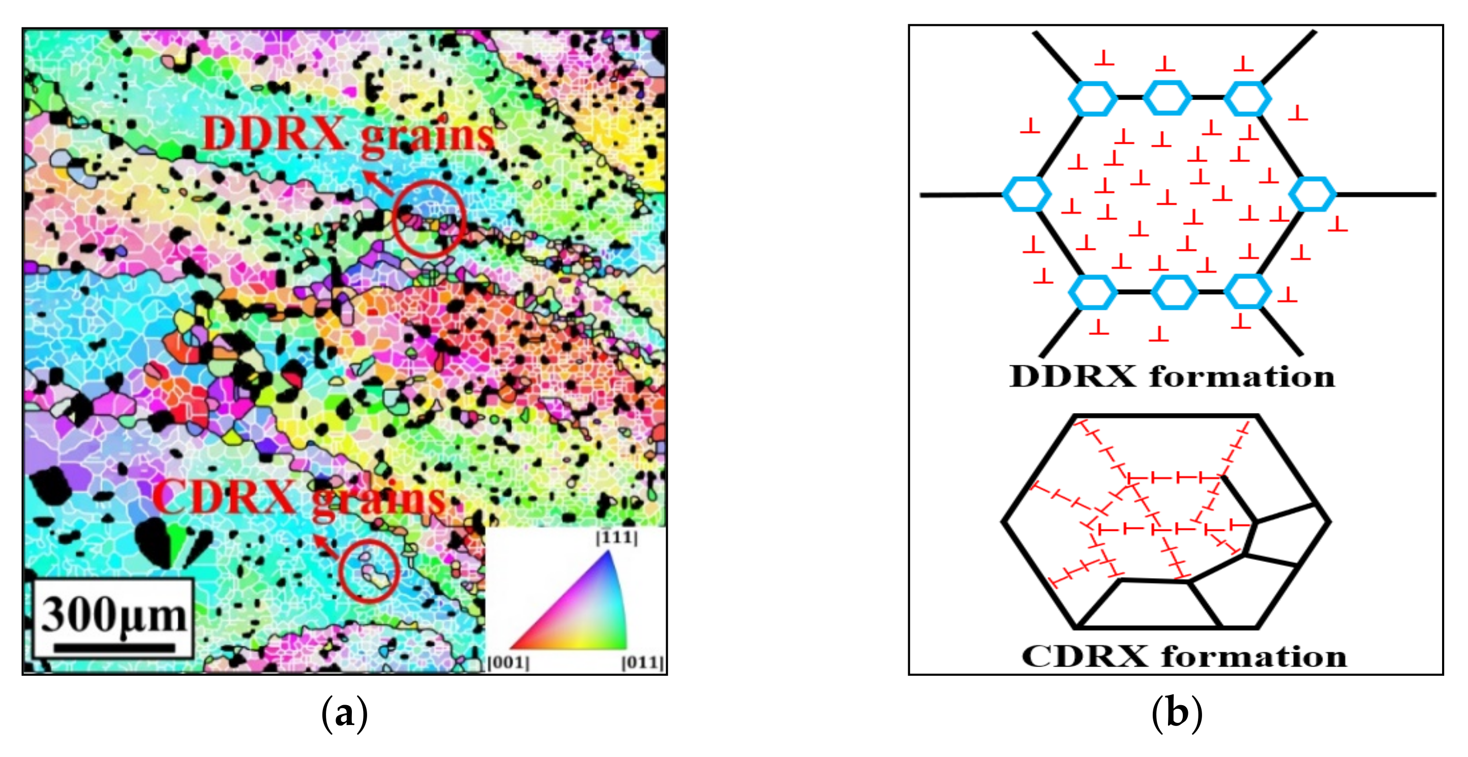 Materials 14 06750 g004