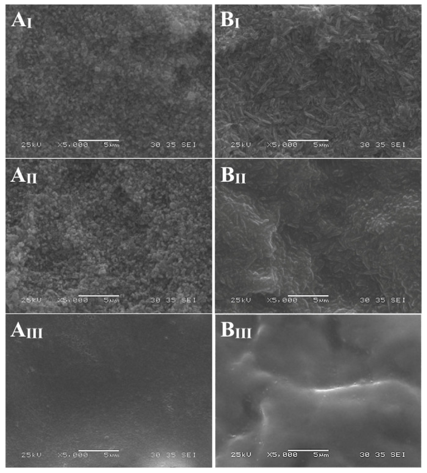 Materials 14 06776 g001