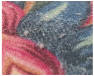 Materials 14 06787 i018