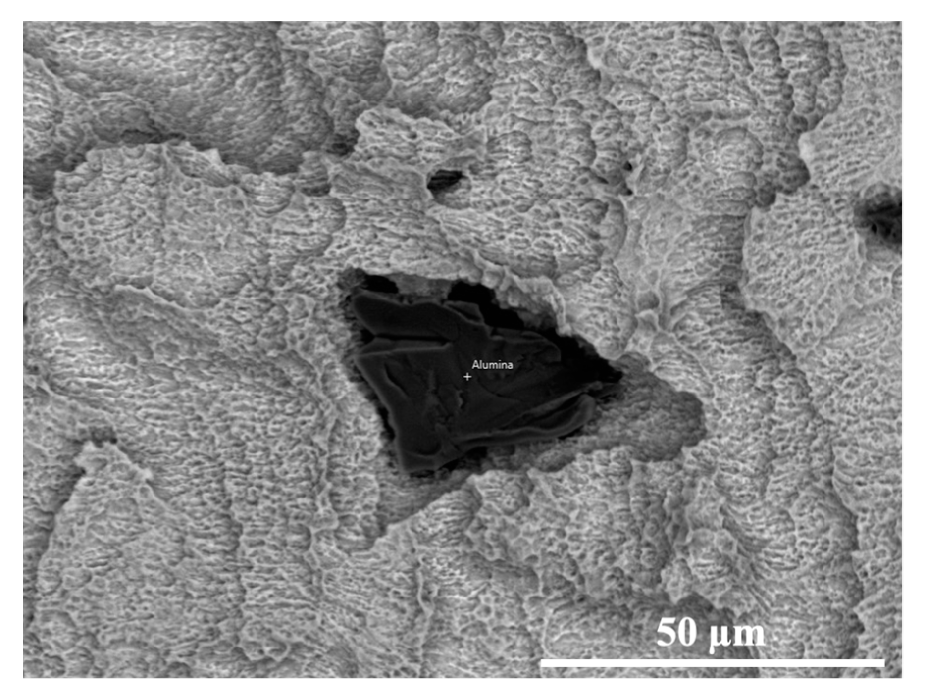 Materials 14 06800 g008