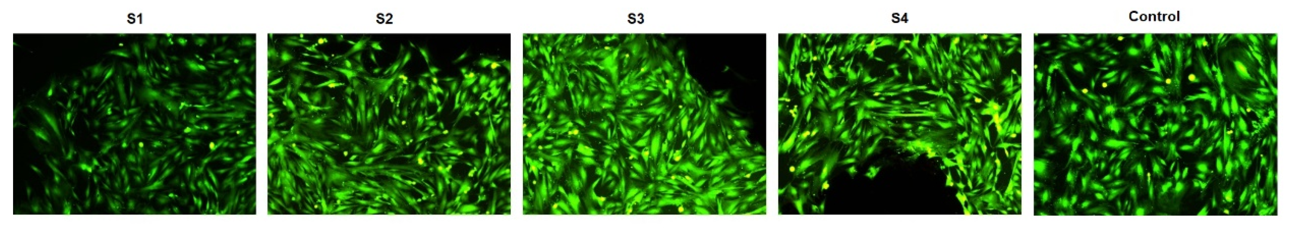 Materials 14 06806 g005 550