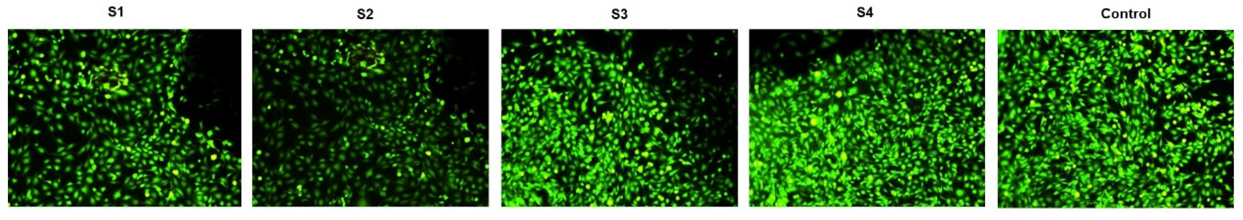 Materials 14 06806 g006 550