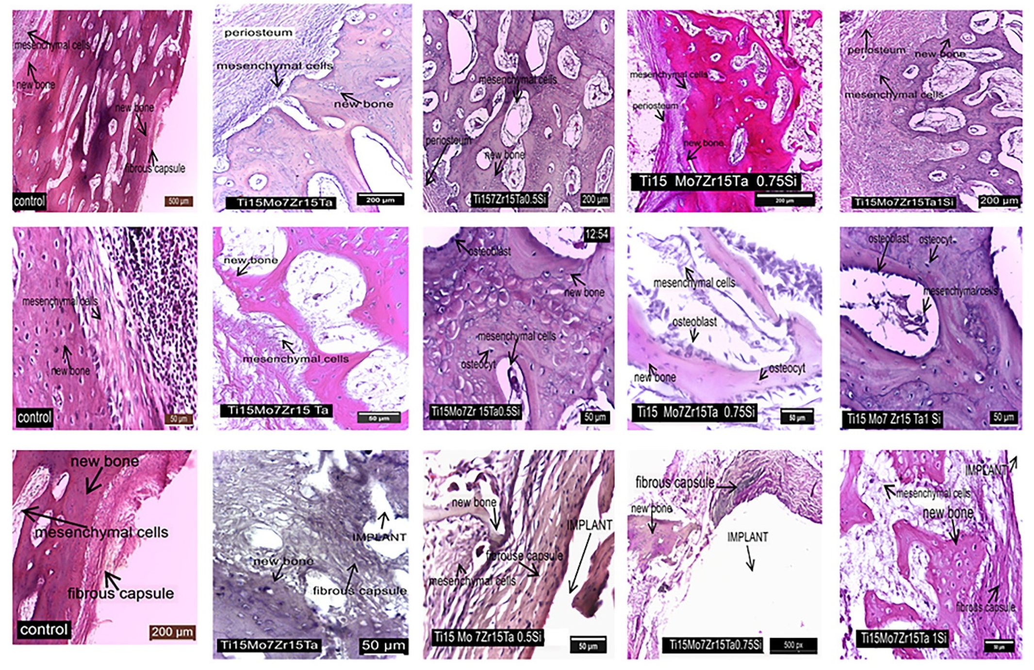 Materials 14 06806 g009 550