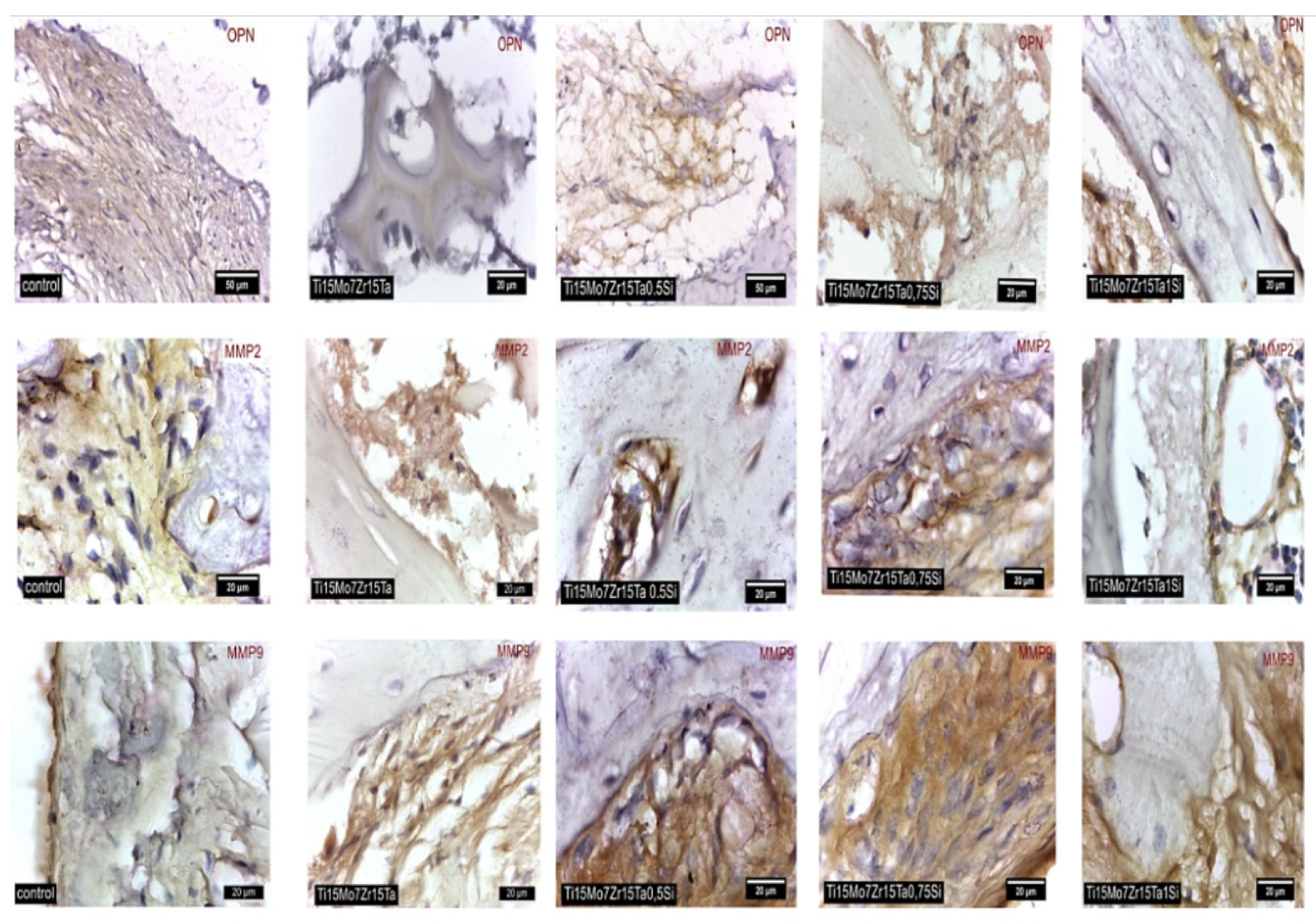 Materials 14 06806 g010 550