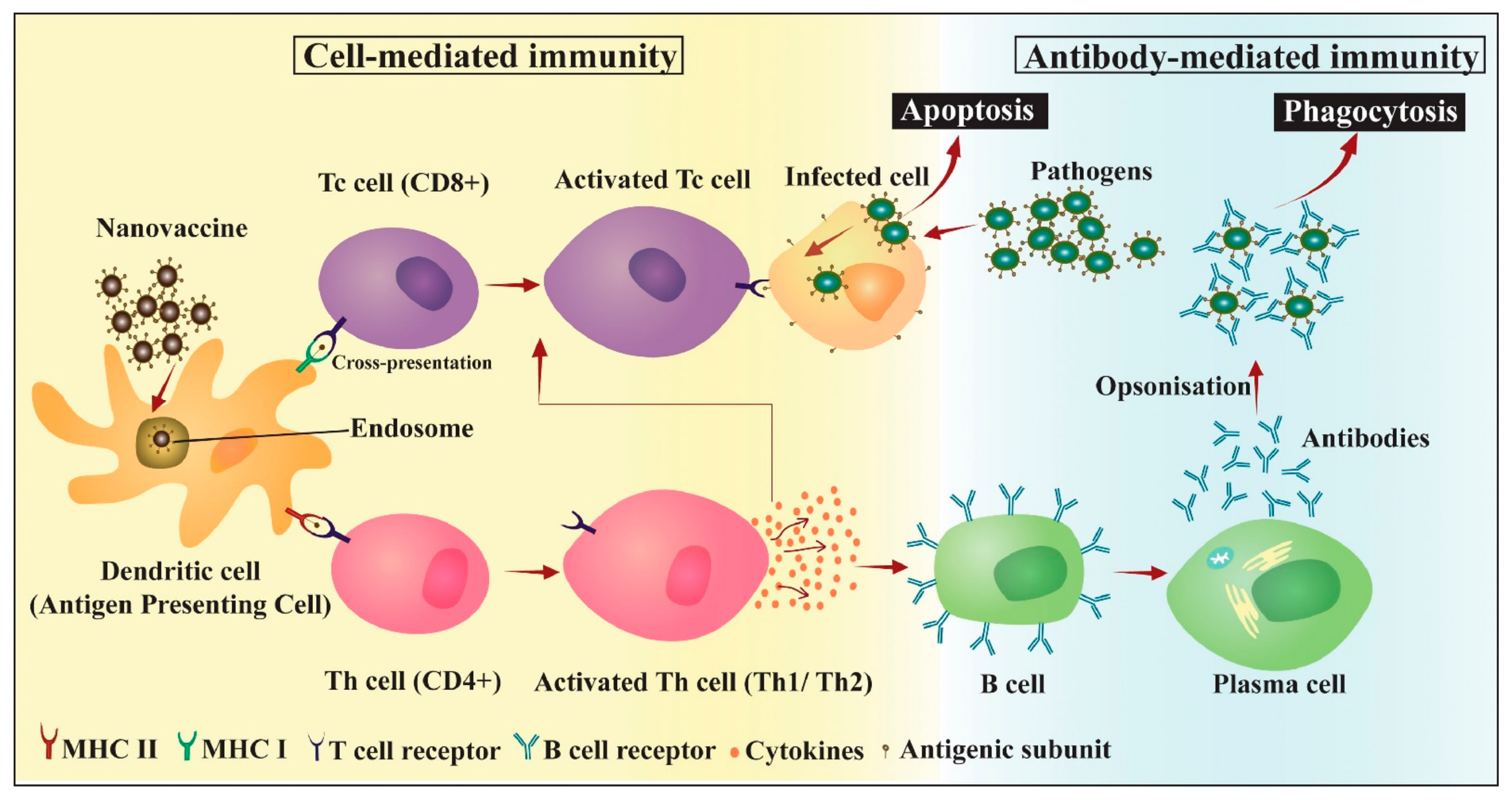 Materials 14 06812 g008 Materials 14 06812 g008