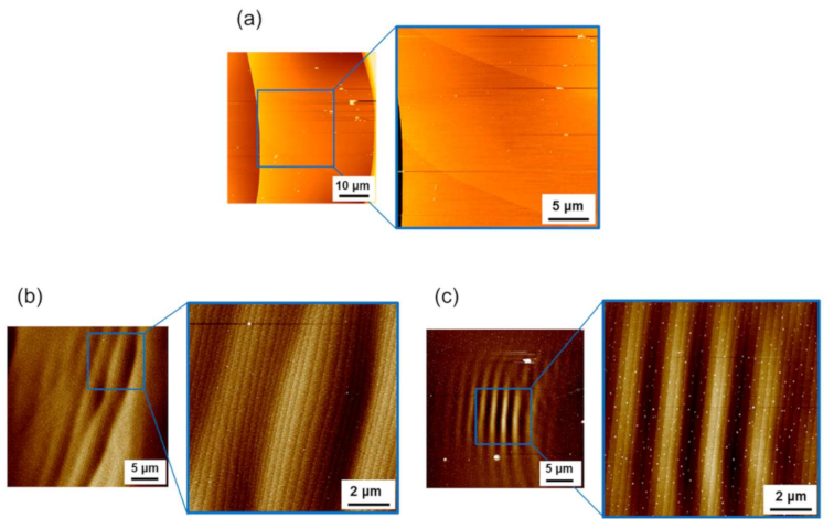 Materials 14 06816 g004 550