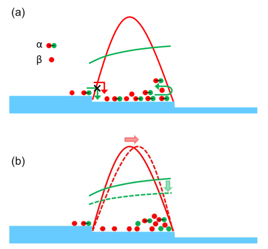 Materials 14 06816 g005 550