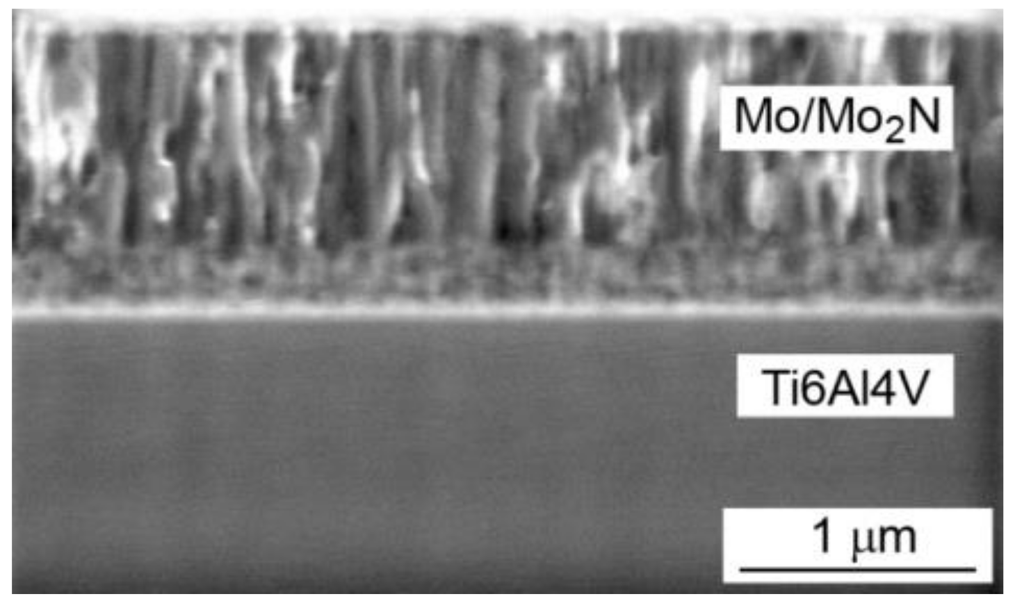 Materials 14 06819 g002