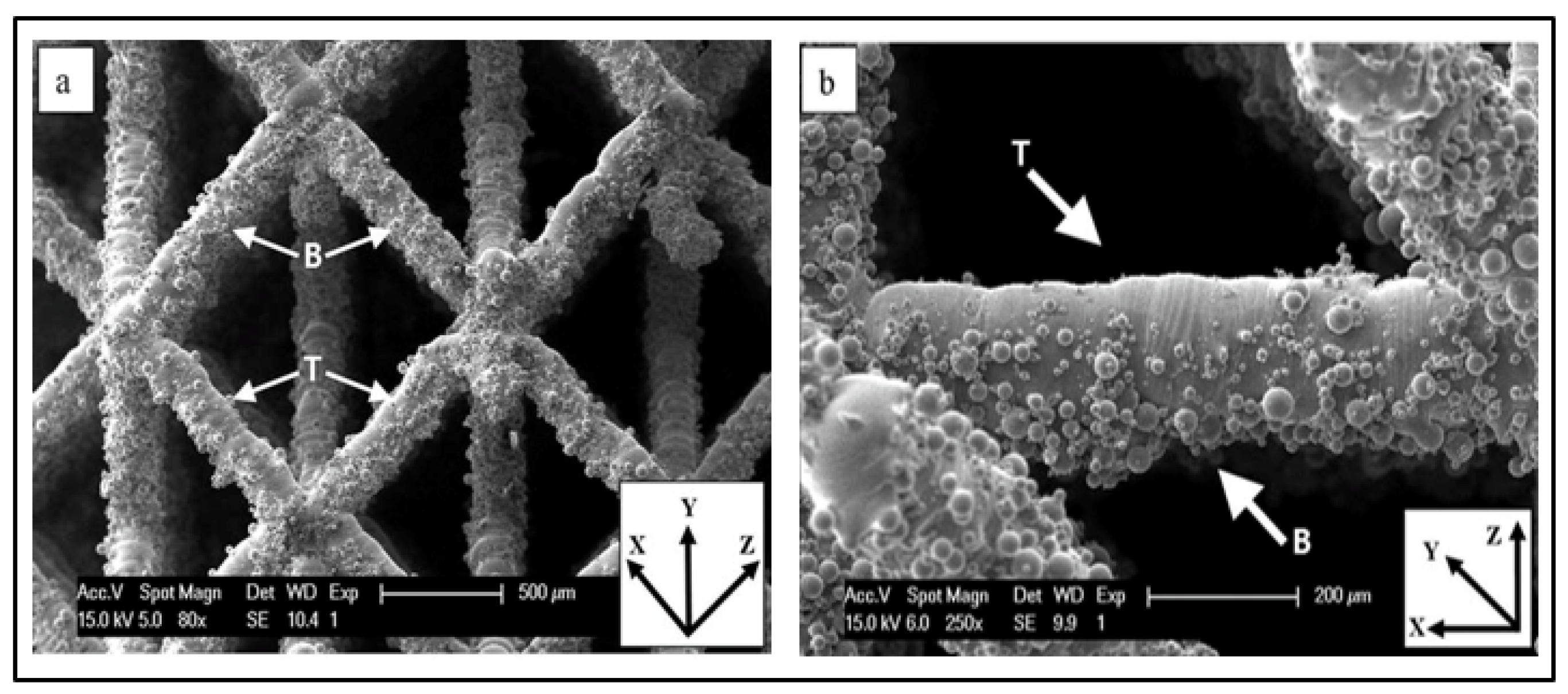 Materials 14 06833 g006