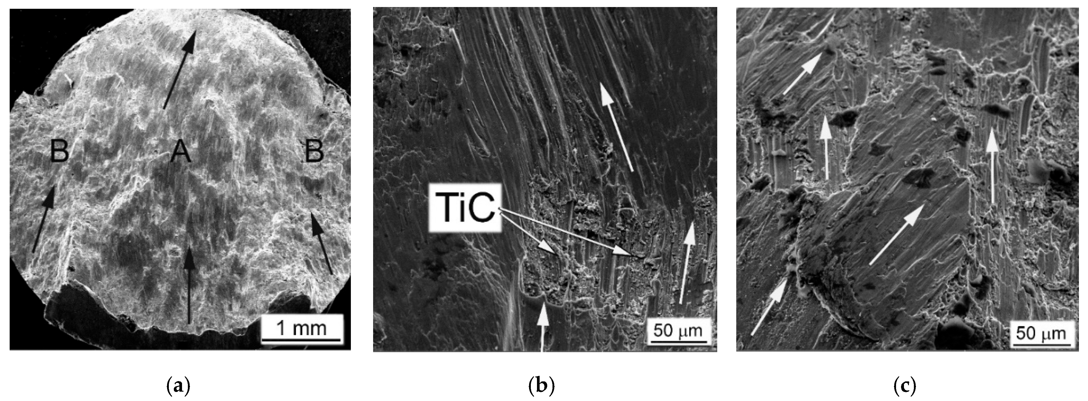 Materials 14 06837 g010a