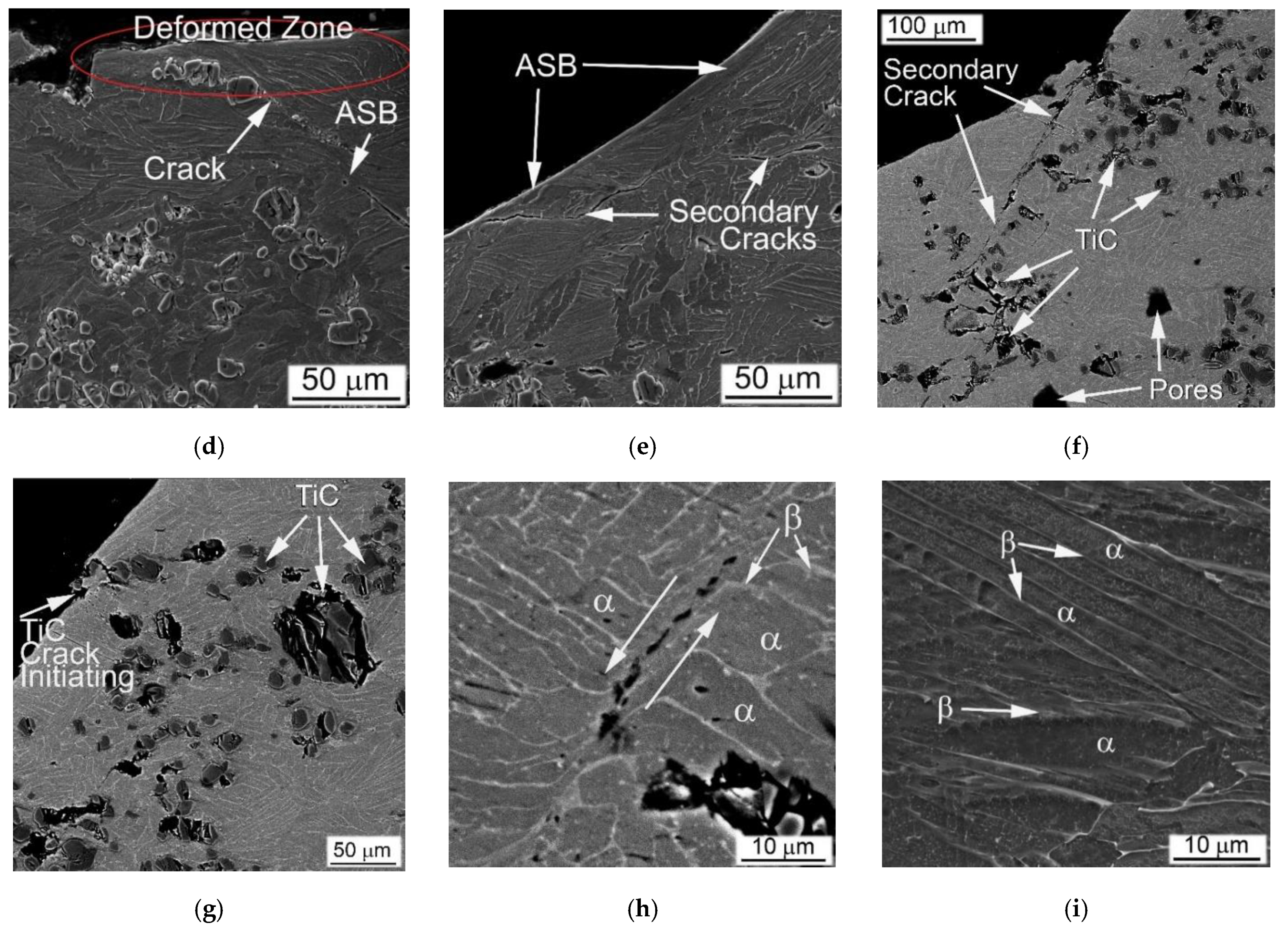 Materials 14 06837 g010b