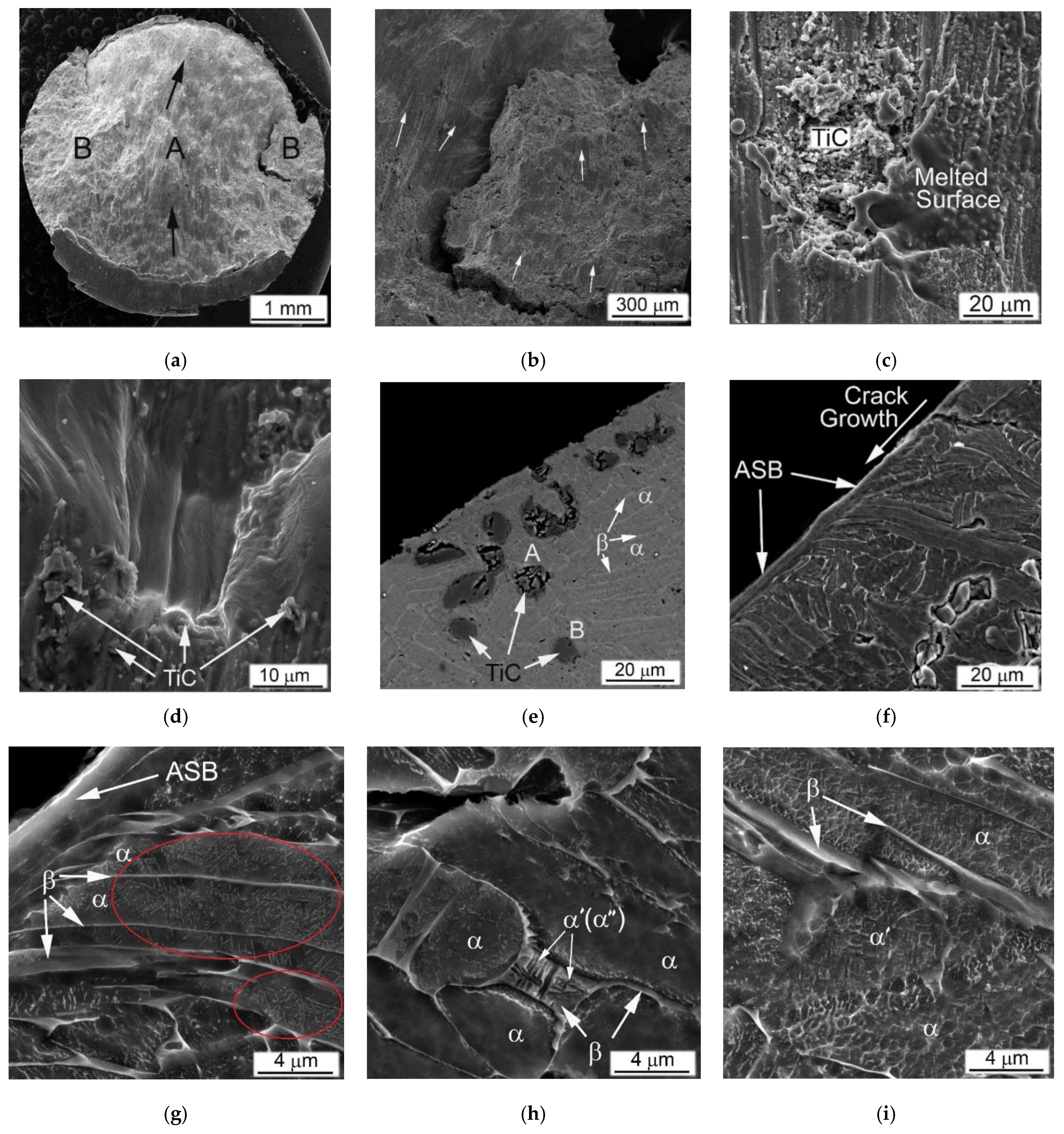 Materials 14 06837 g011