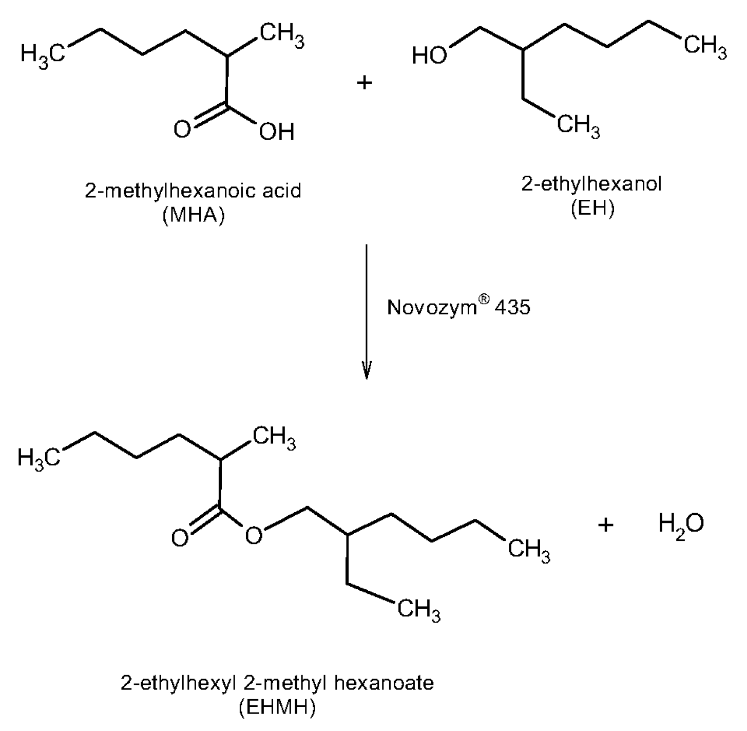 Materials 14 06847 g001 550