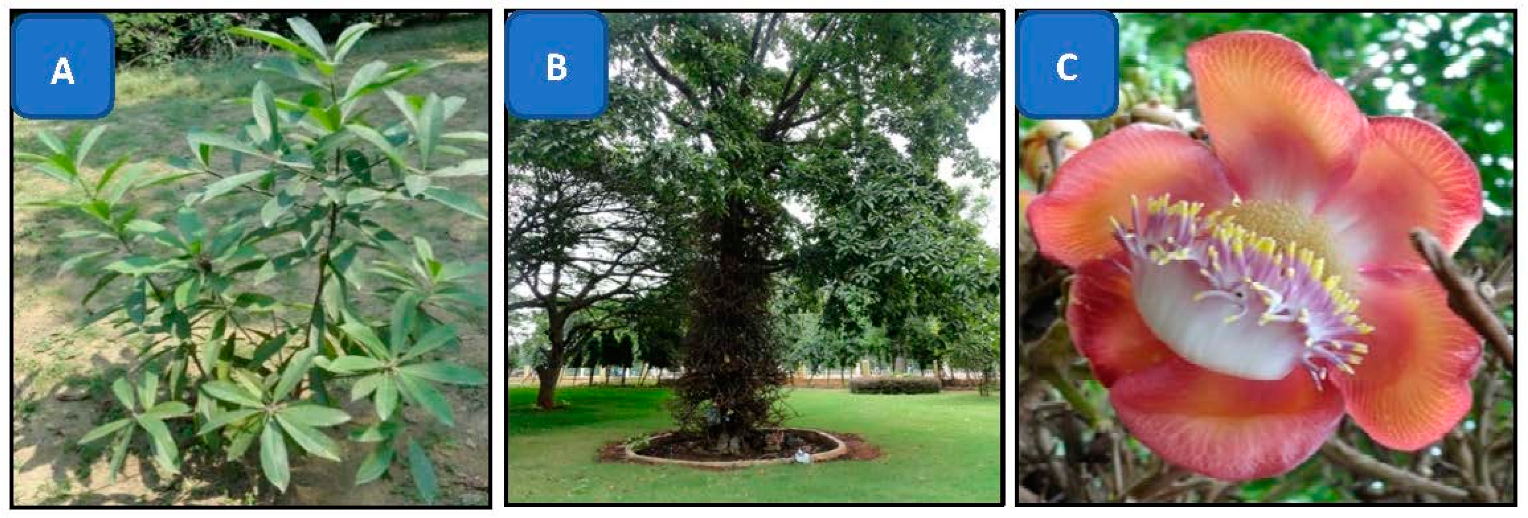 Materials 14 06854 g001