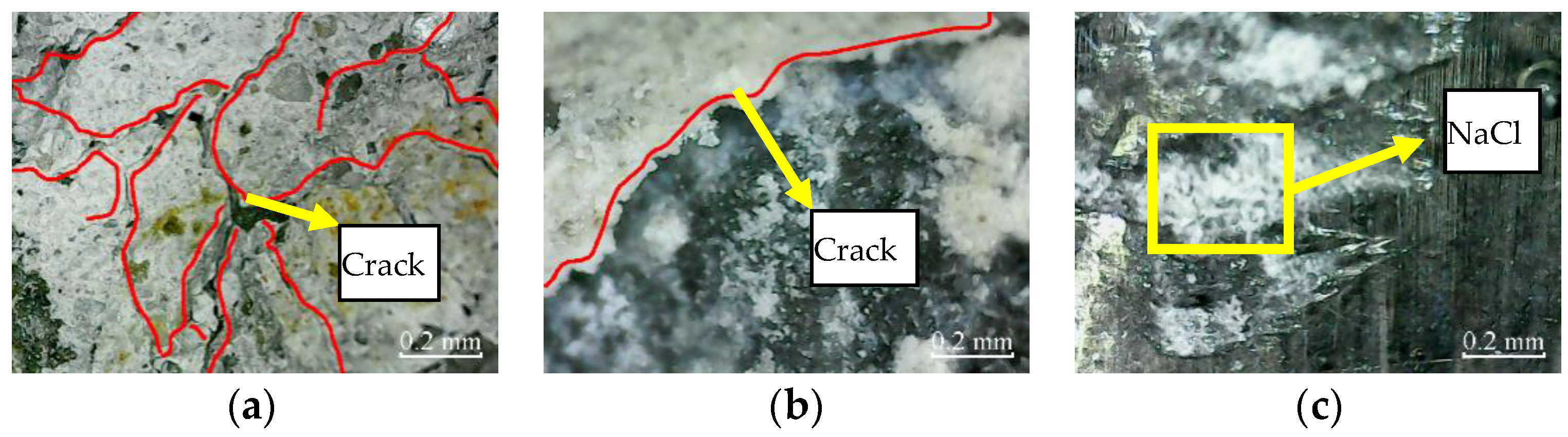 Materials 14 06856 g021