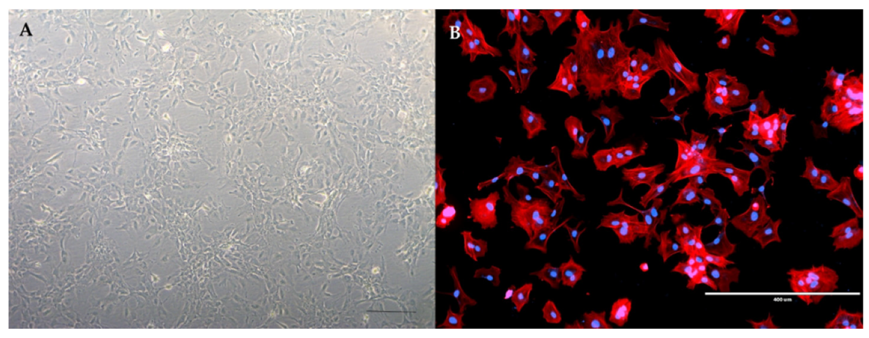 Materials 14 06857 g001 Materials 14 06857 g001