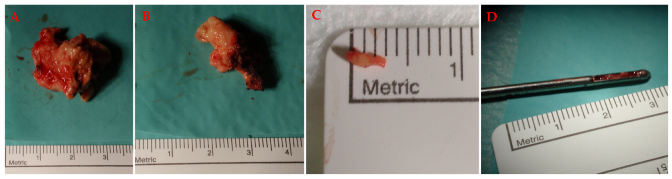 Materials 14 06857 g002 Materials 14 06857 g002