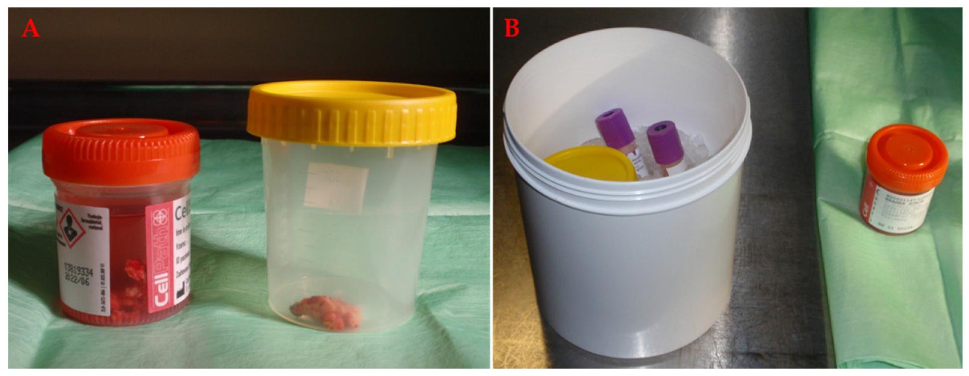 Materials 14 06857 g003 Materials 14 06857 g003