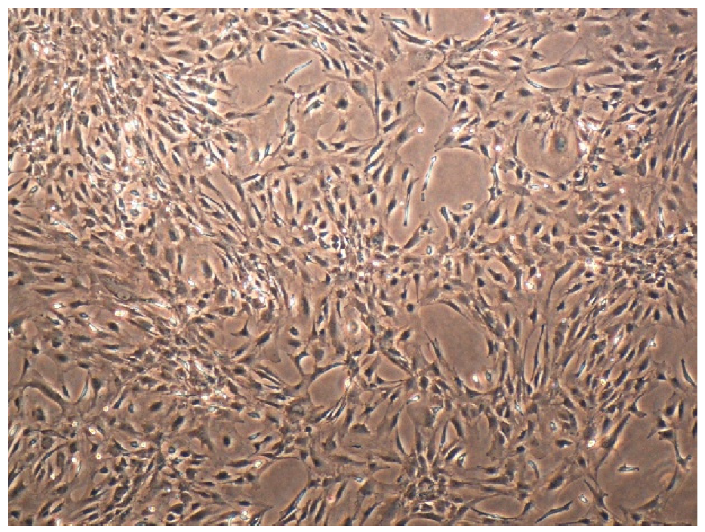 Materials 14 06857 g004 Materials 14 06857 g004