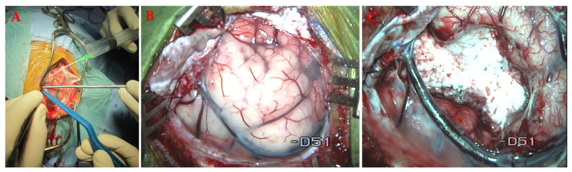 Materials 14 06857 g005 Materials 14 06857 g005