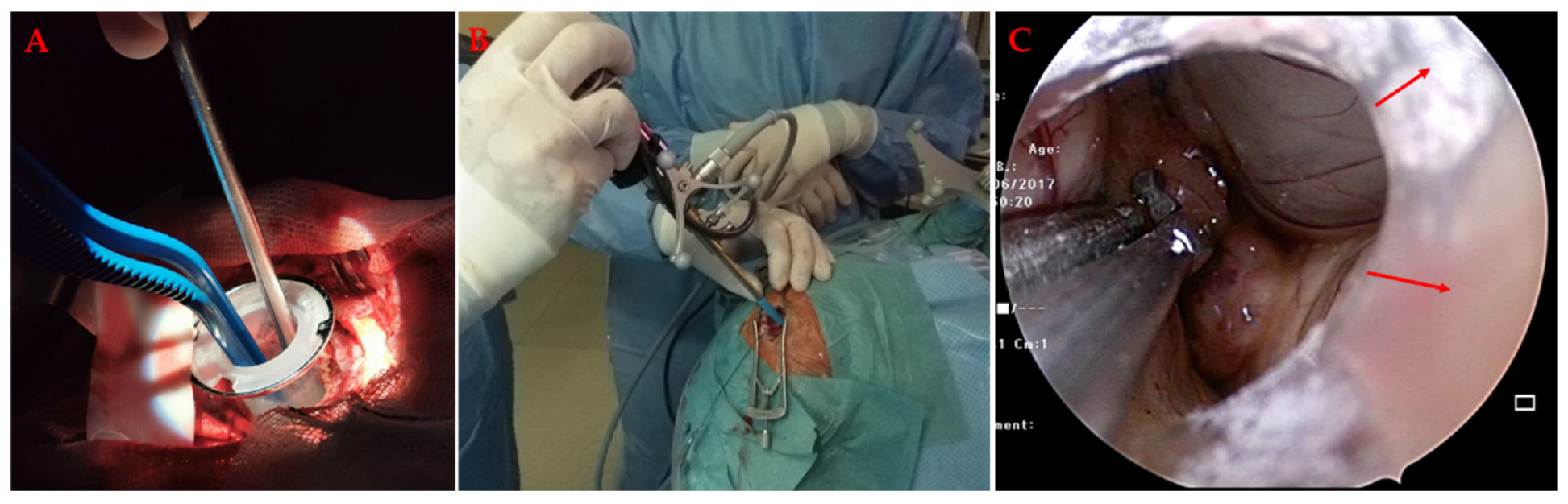 Materials 14 06857 g008 Materials 14 06857 g008