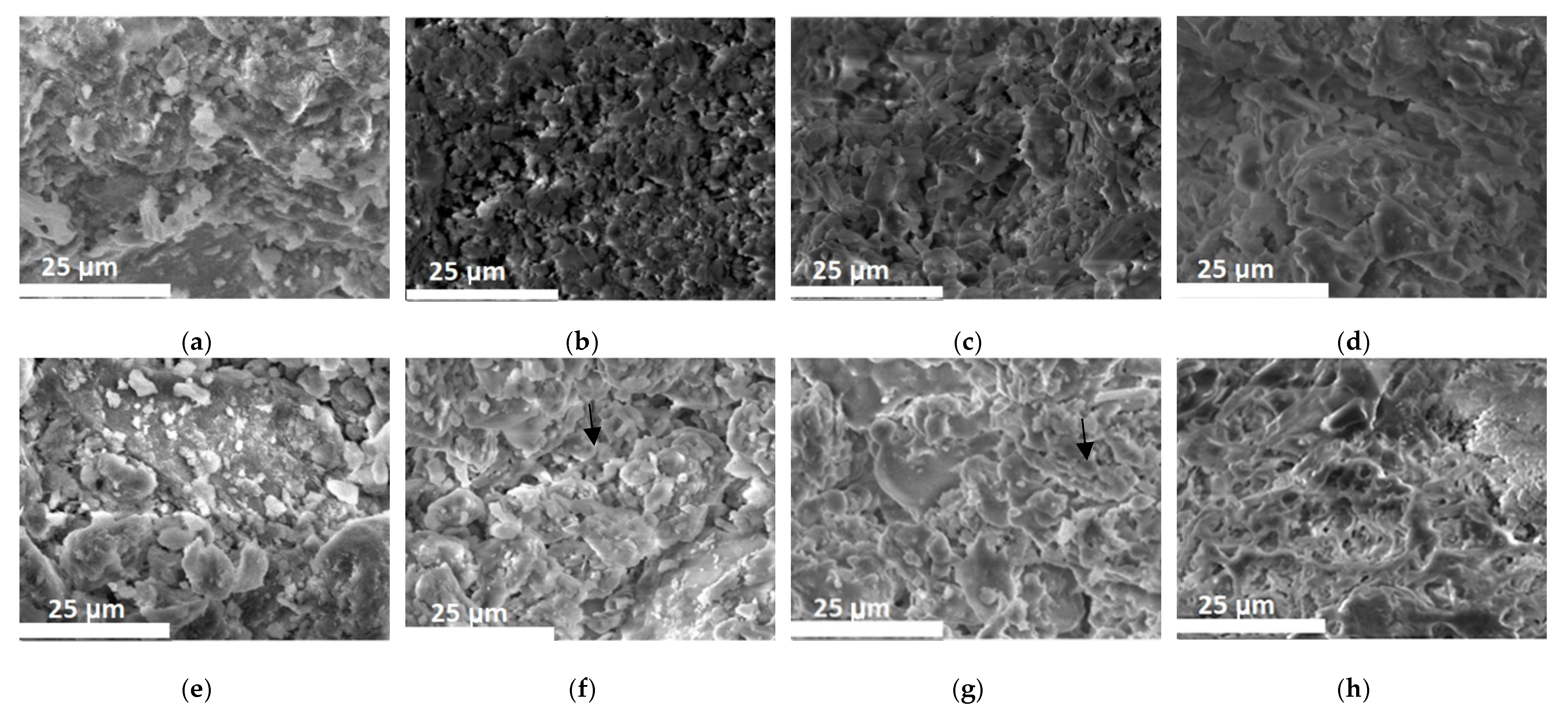 Materials 14 06872 g007