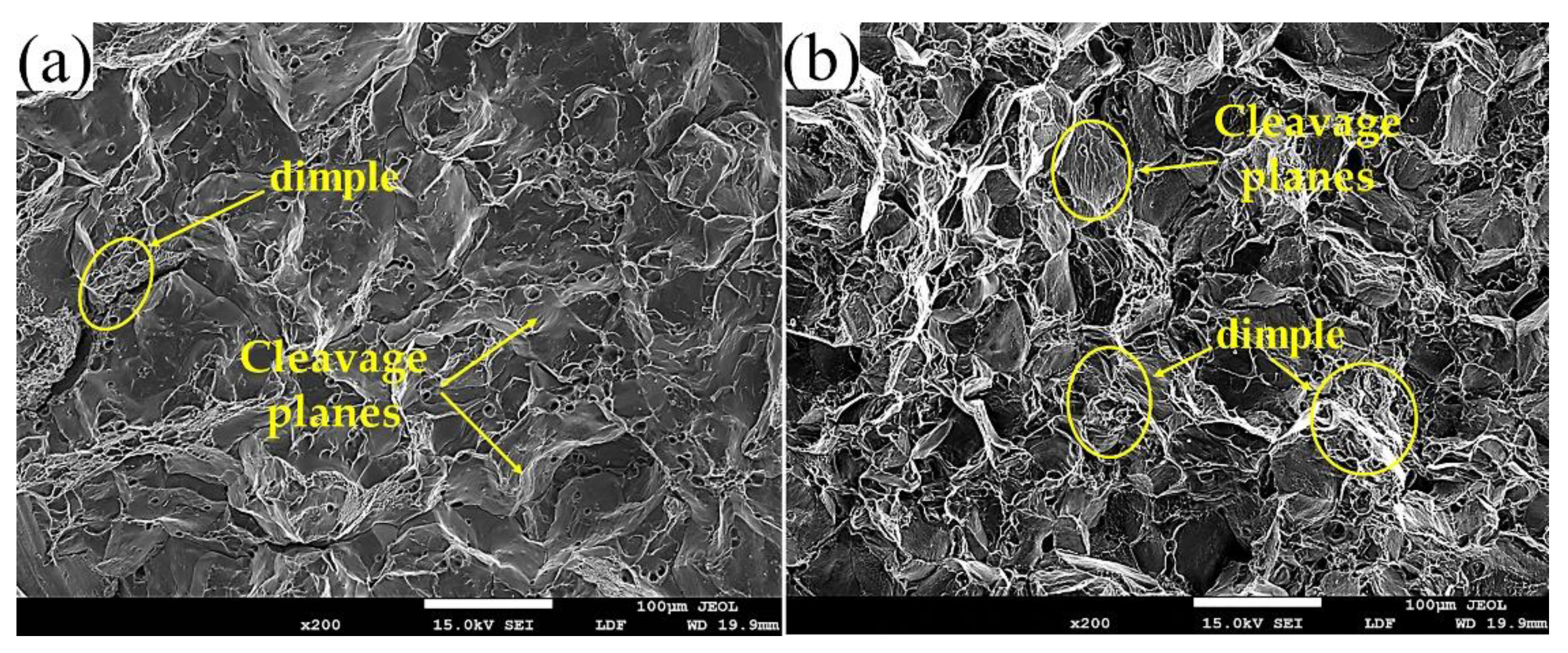 Materials 14 06881 g008