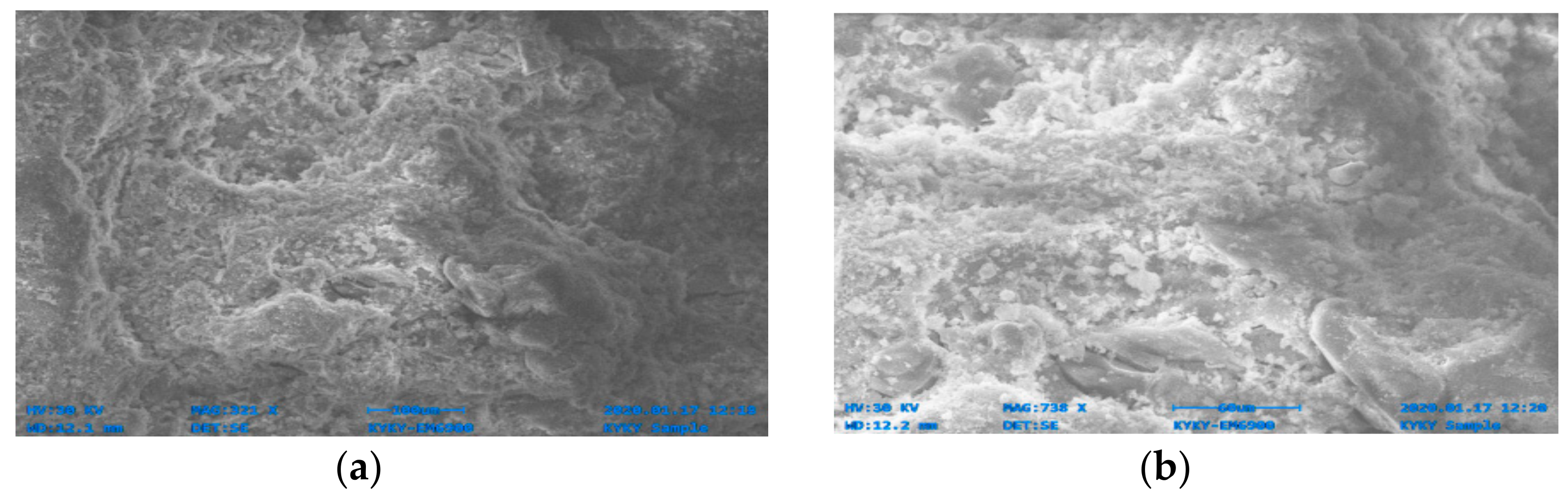 Materials 14 06890 g017 550