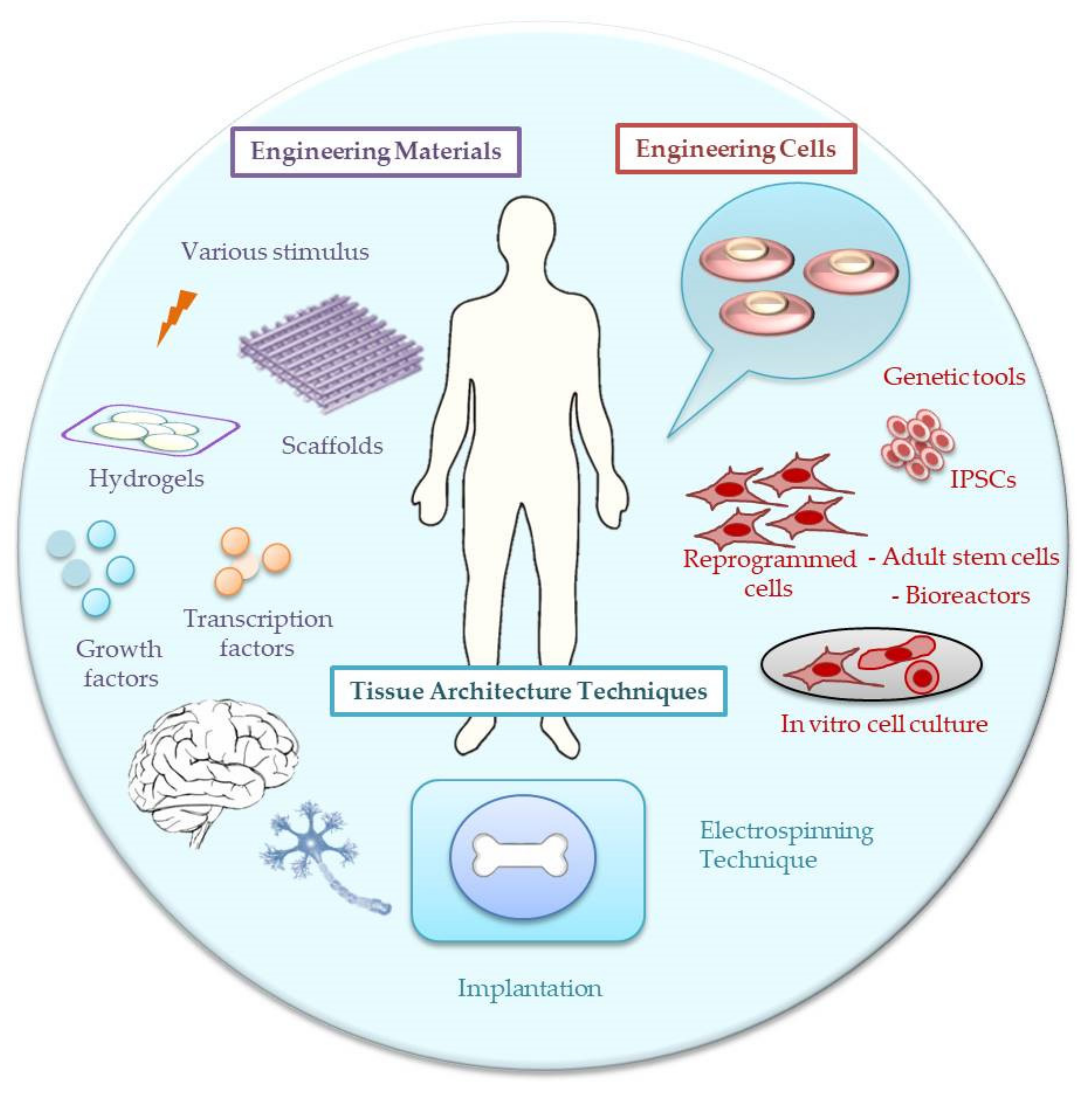 Materials 14 06899 g001