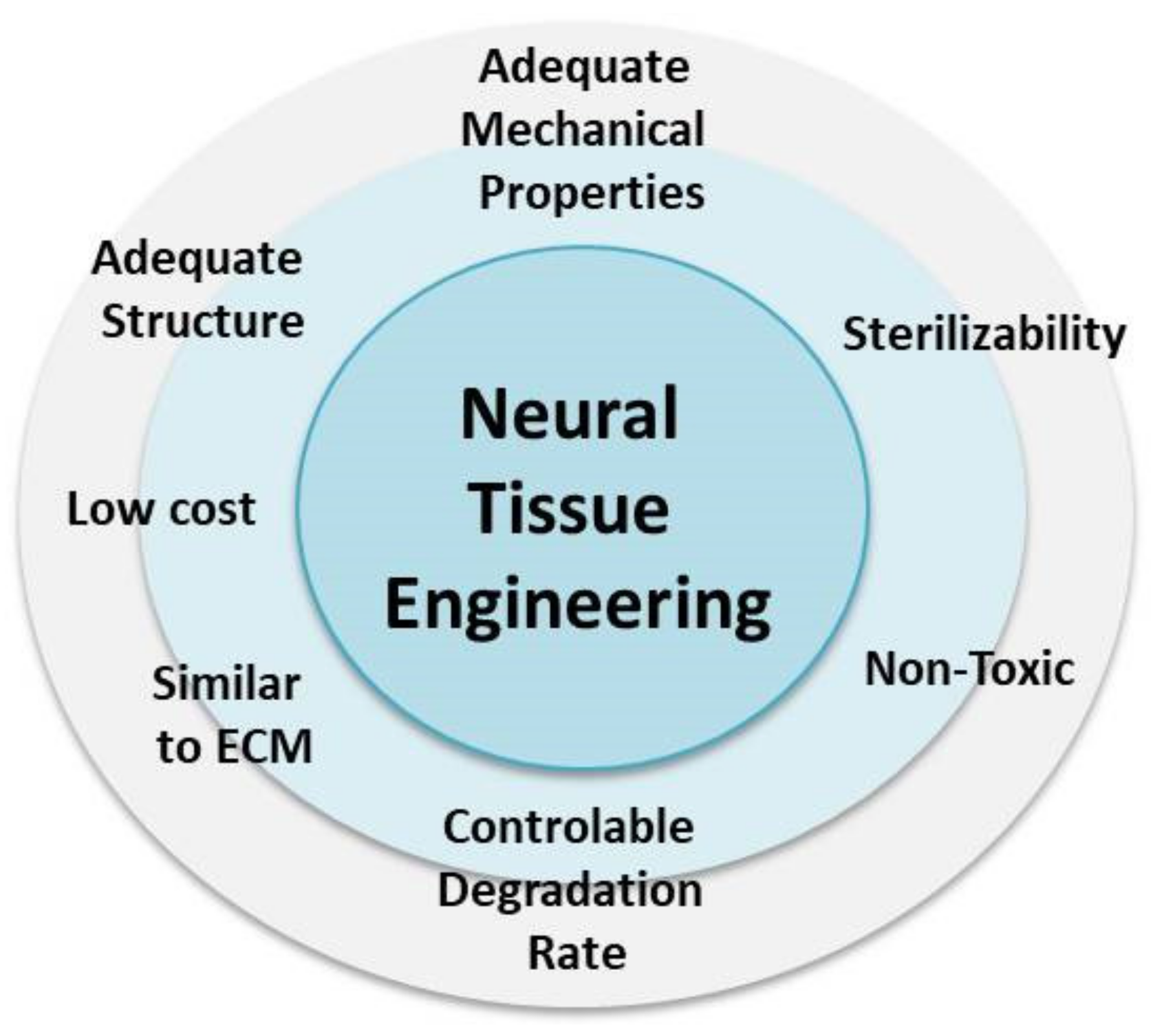 Materials 14 06899 g003