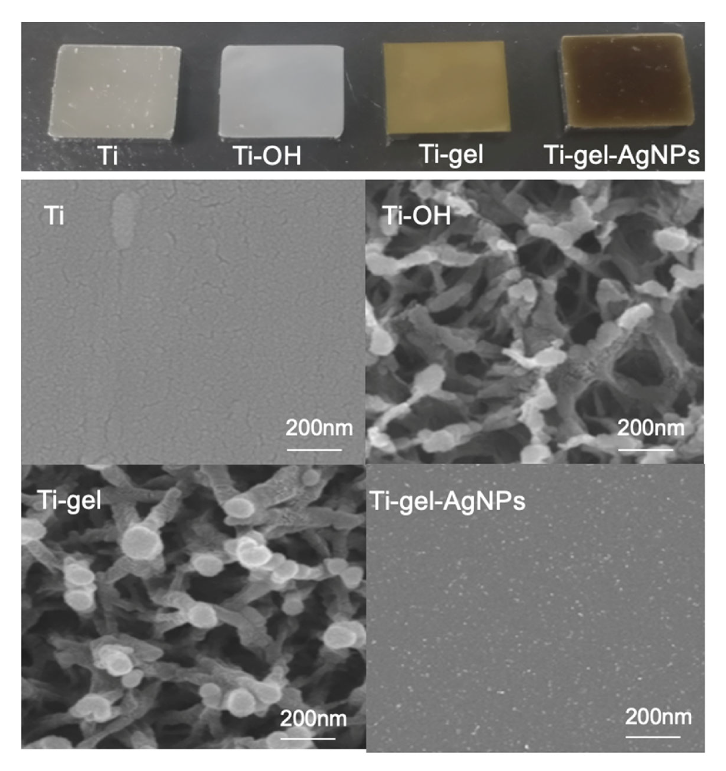 Materials 14 06901 g002