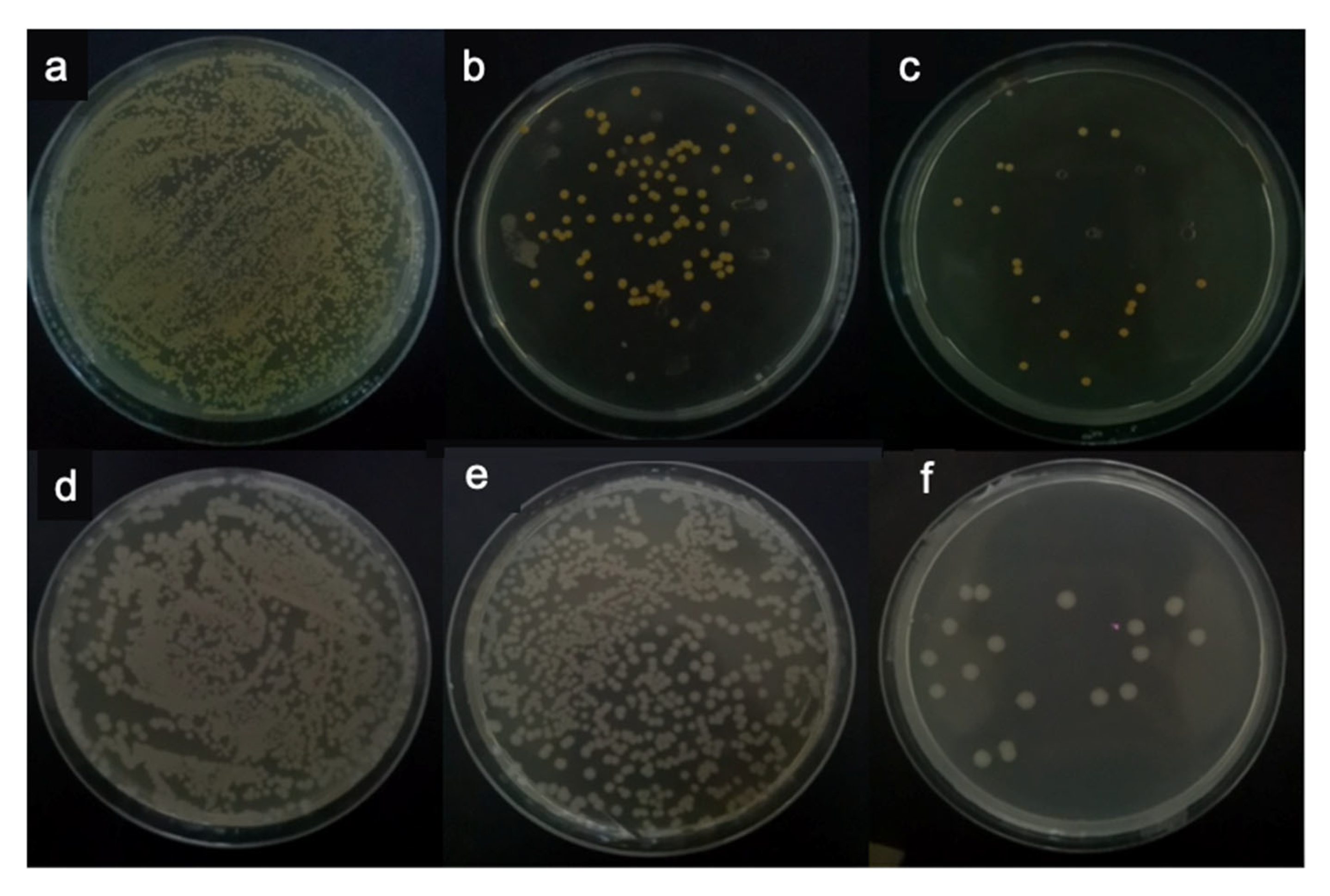 Materials 14 06901 g006