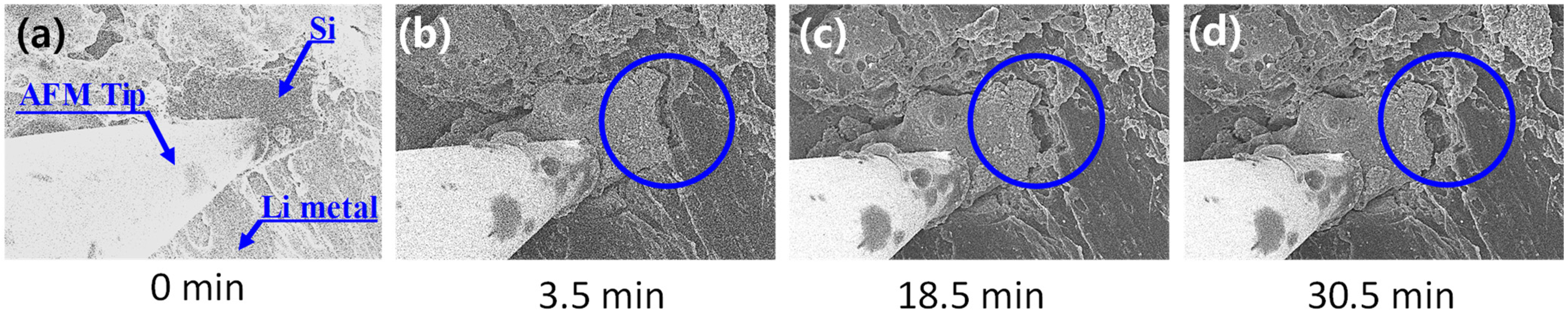 Materials 14 06912 g006