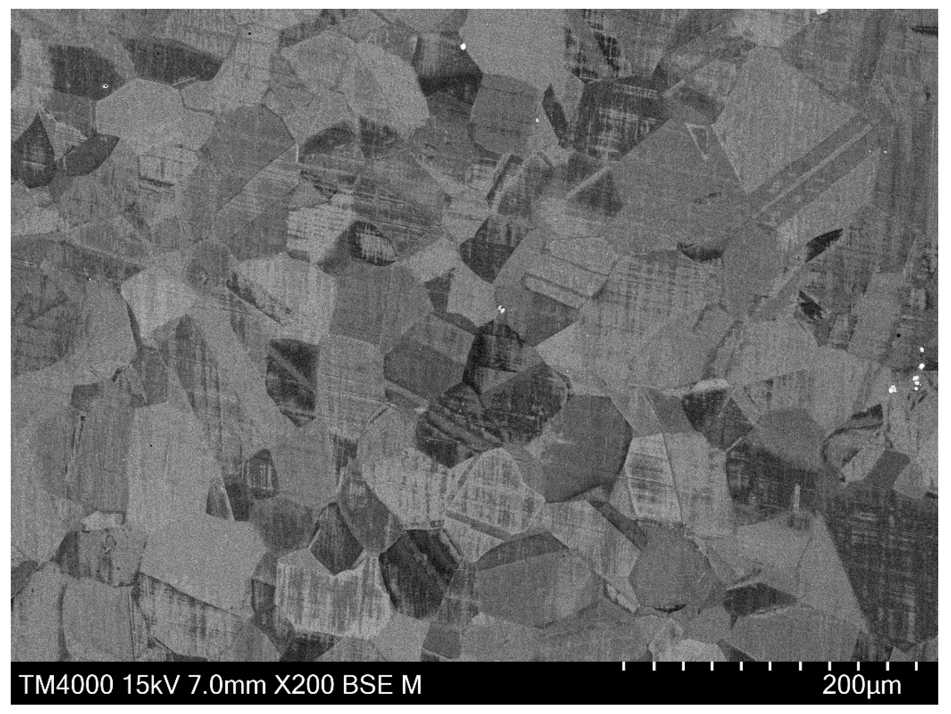 Materials 14 06922 g005