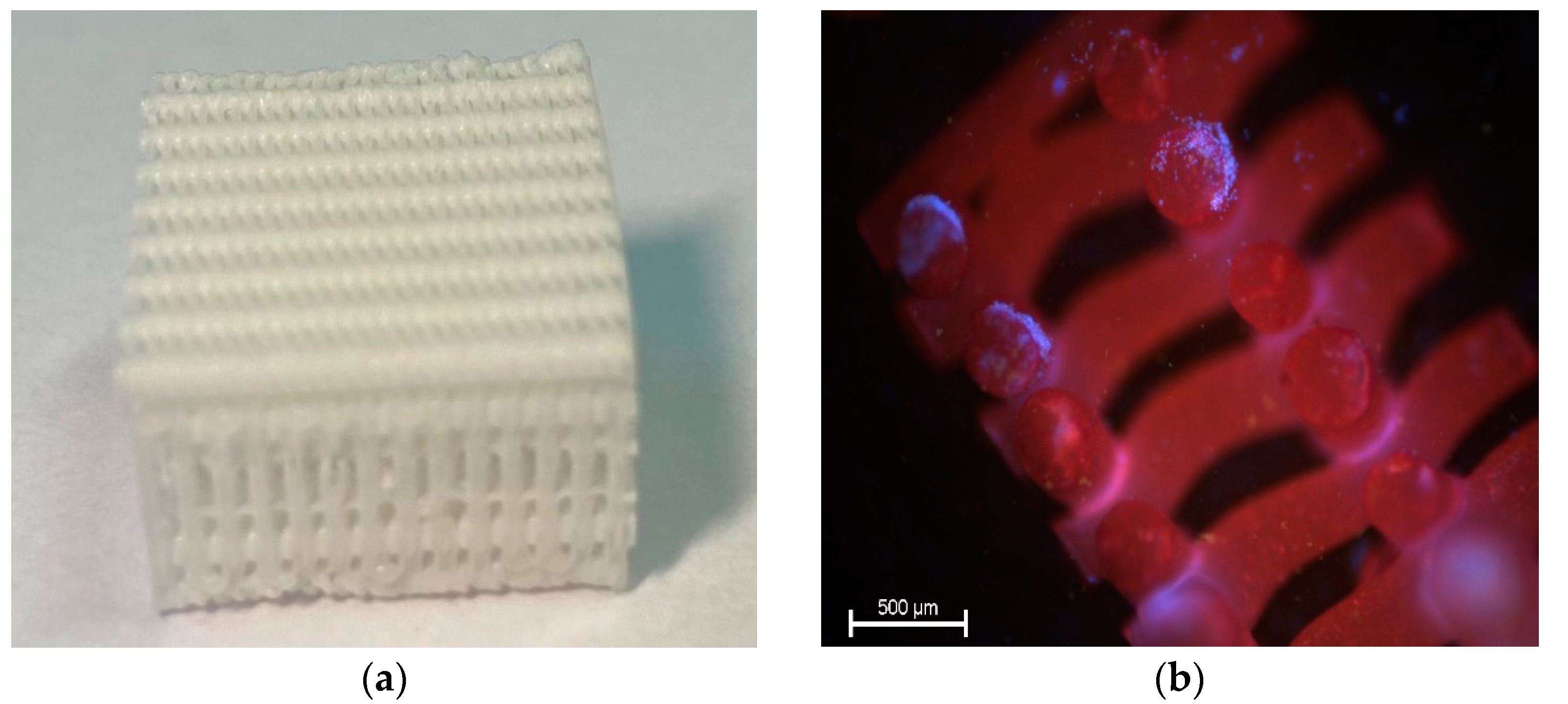 Materials 14 06934 g001