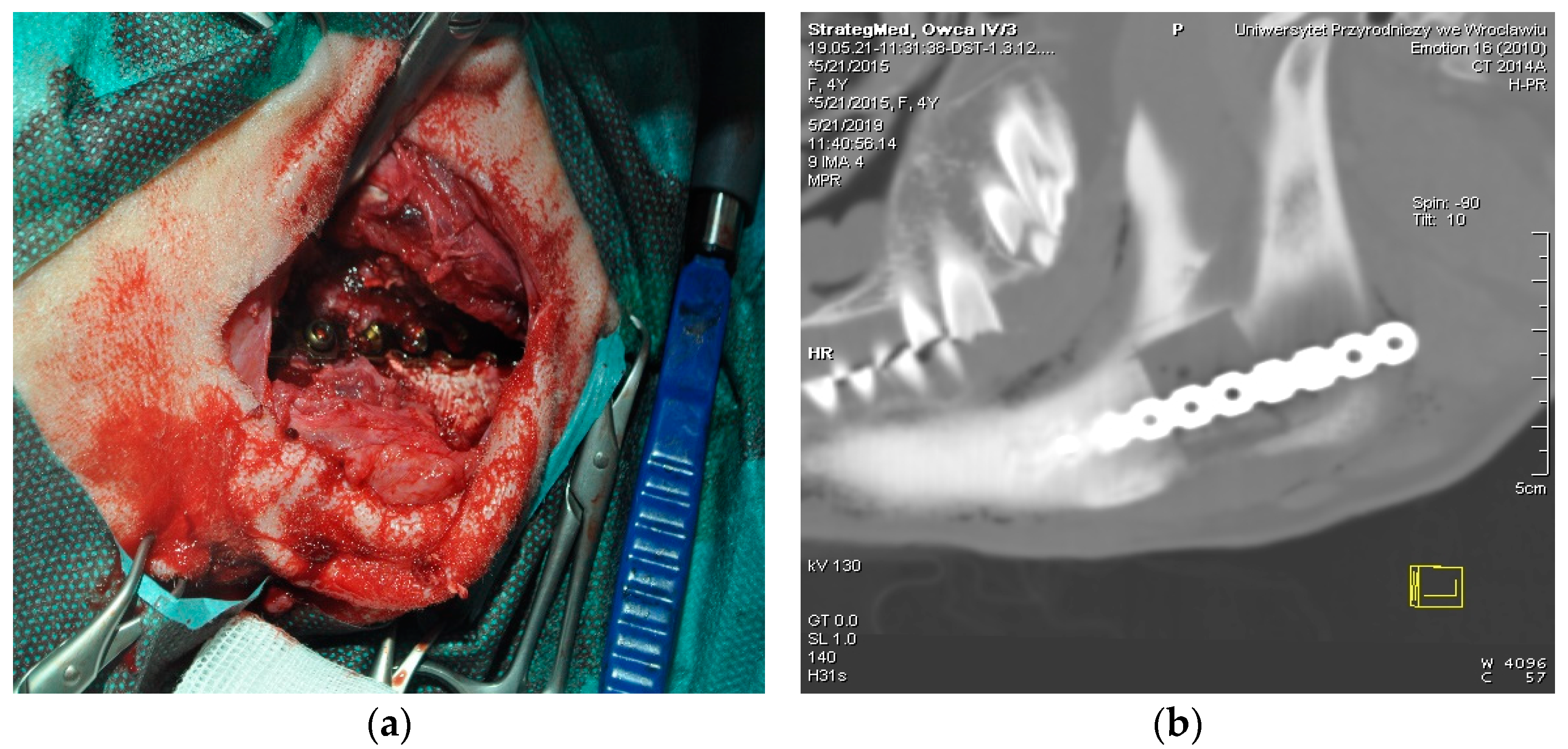 Materials 14 06934 g002