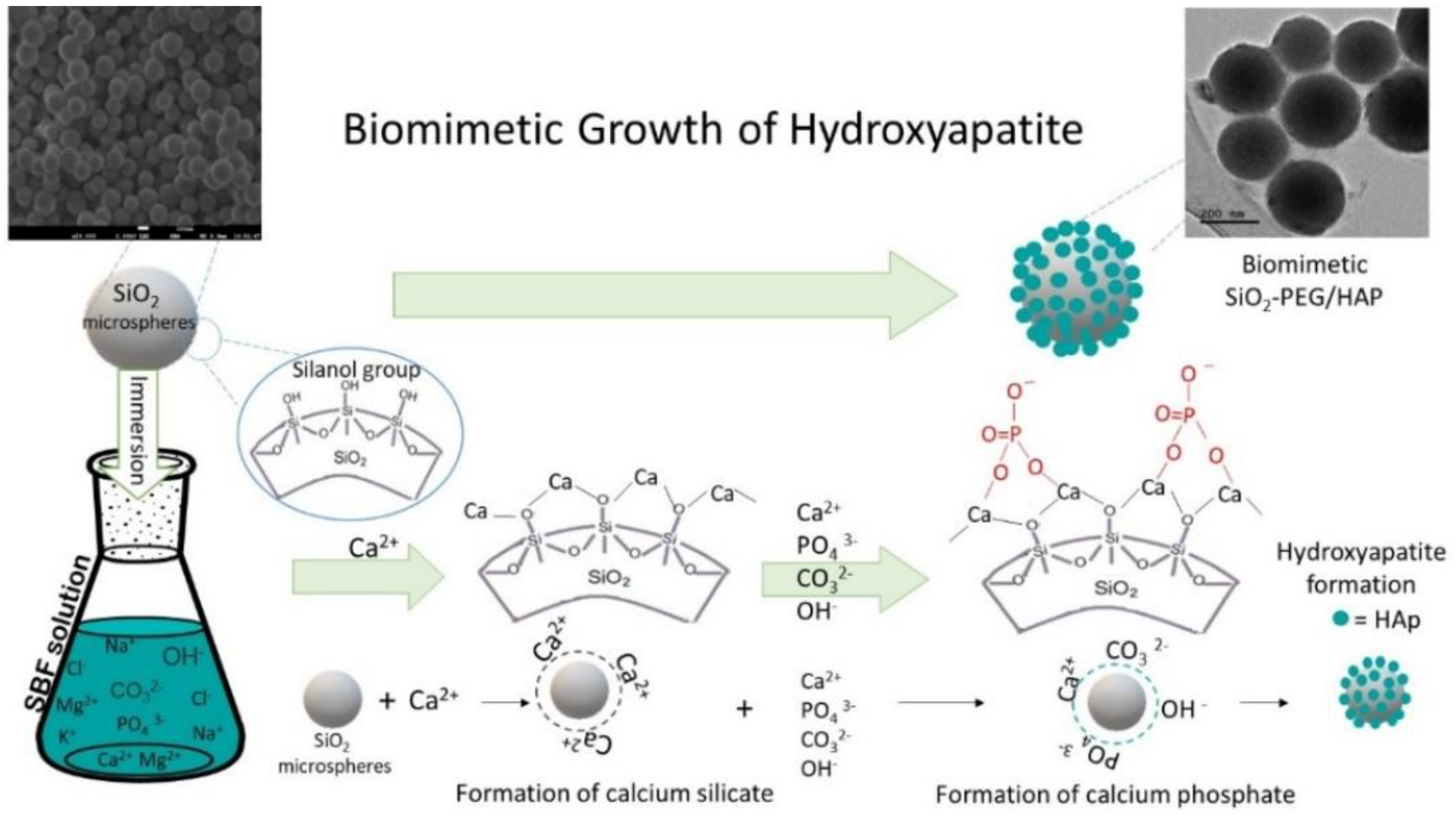 Materials 14 06941 g008 550