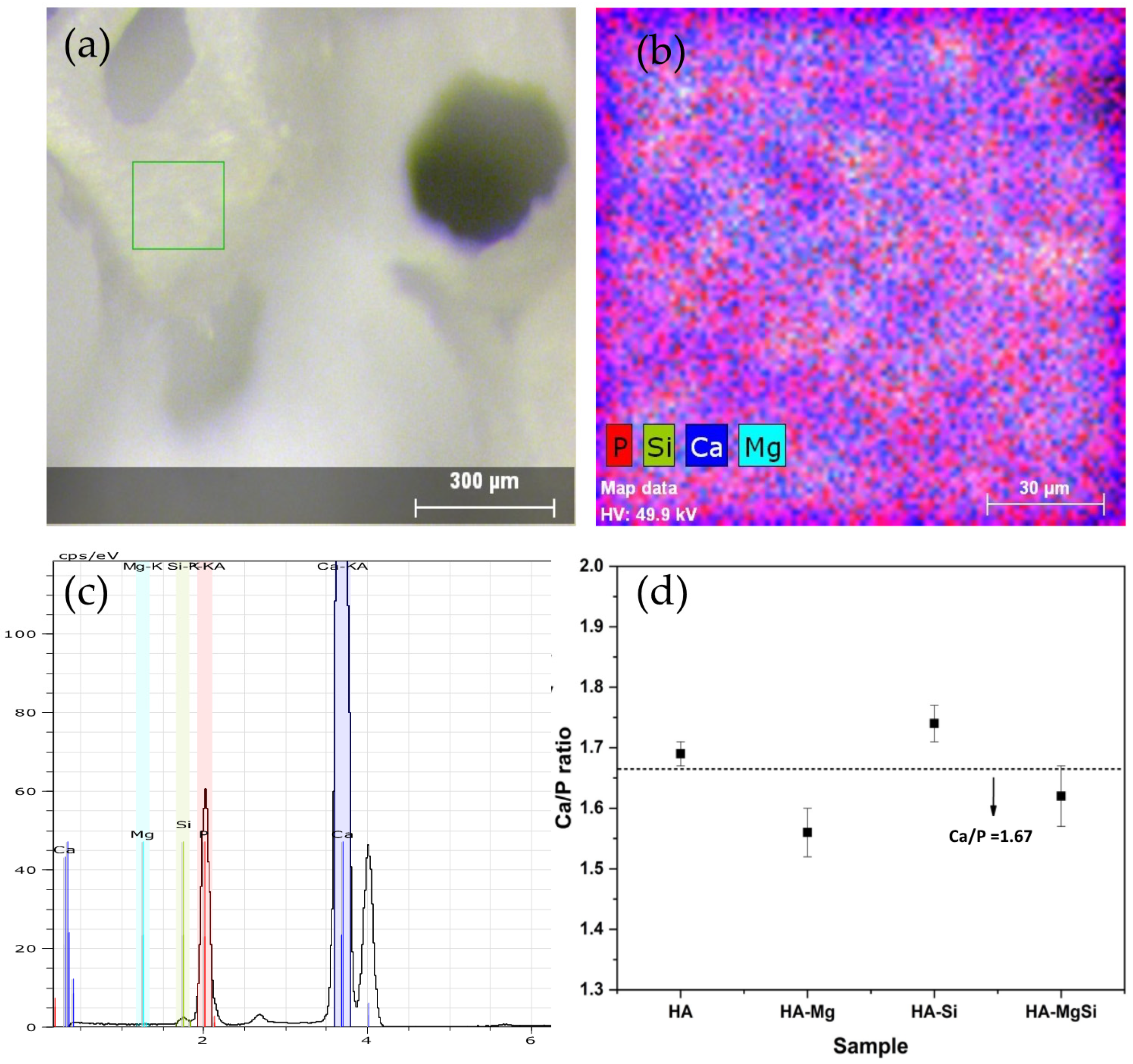 Materials 14 06942 g003 550