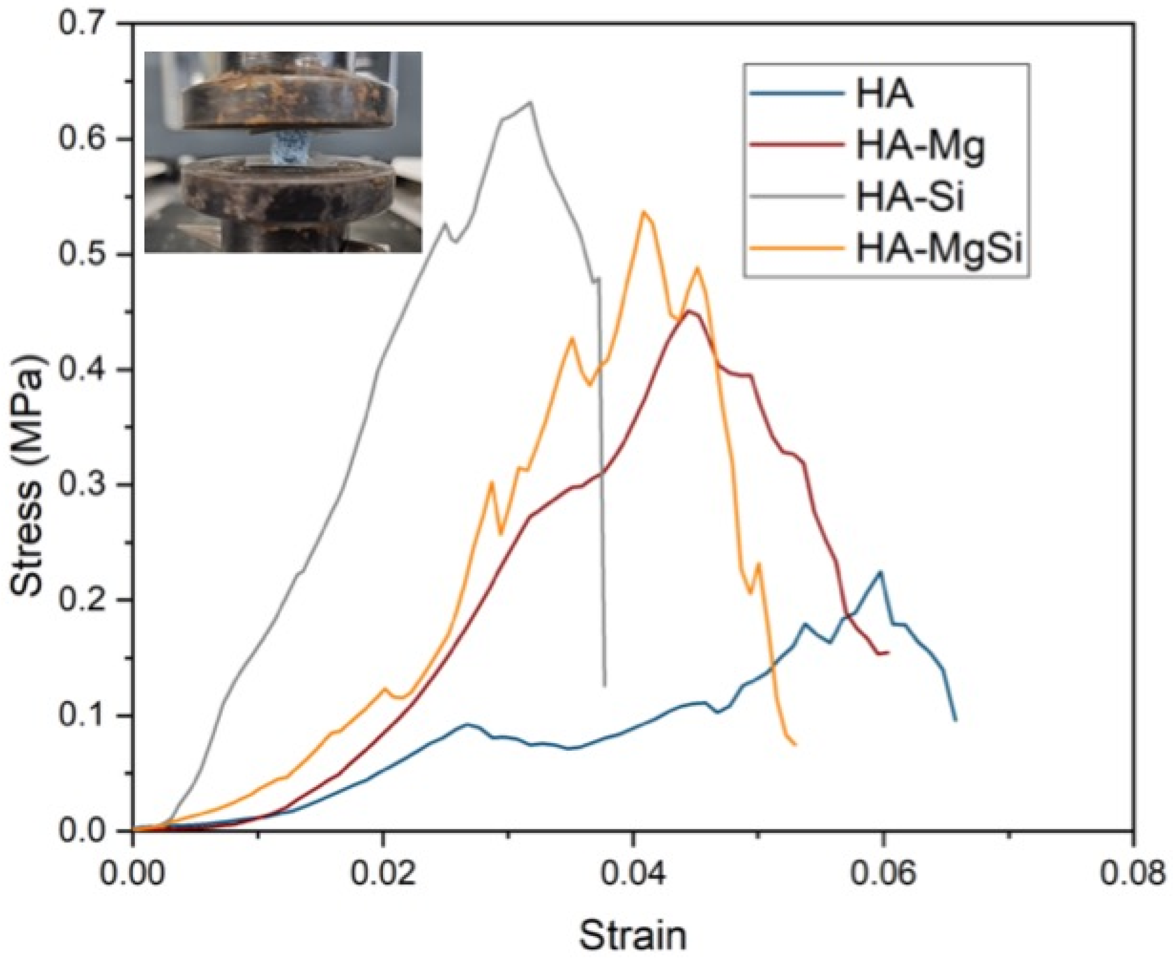 Materials 14 06942 g005 550