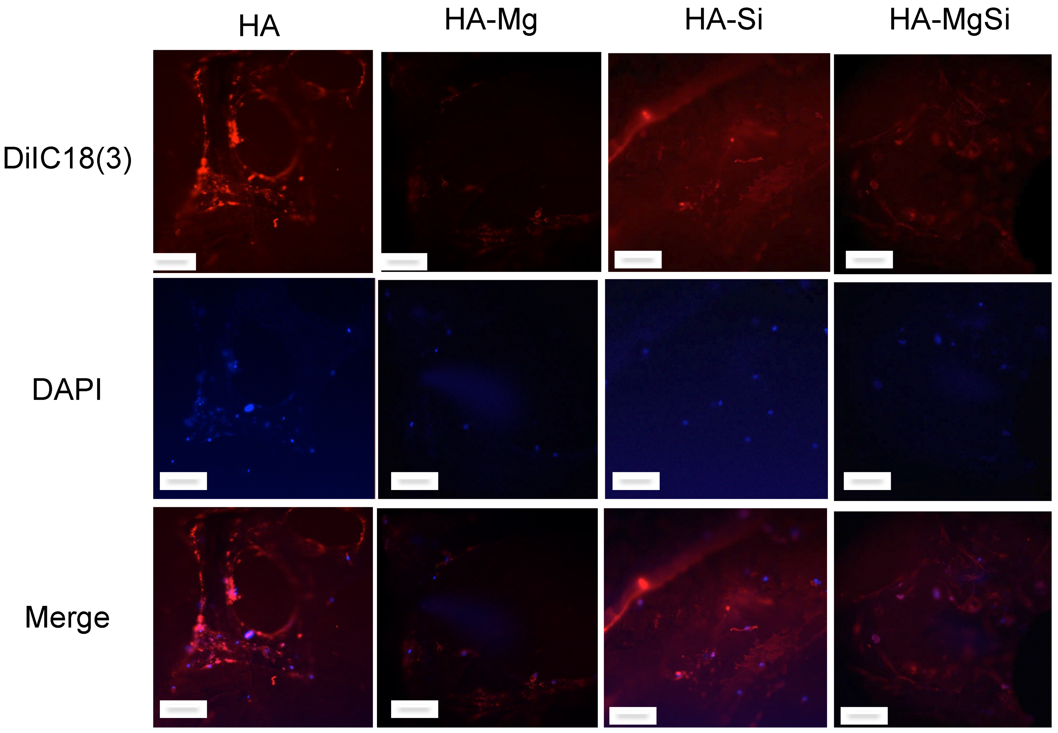 Materials 14 06942 g009 550